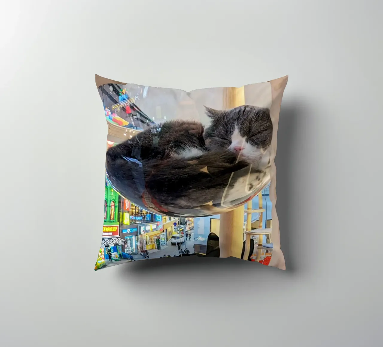 Fotografia in un Cat Café su una strada affollata di Seul, Corea del Sud cuscino da Hecate Pim Designs