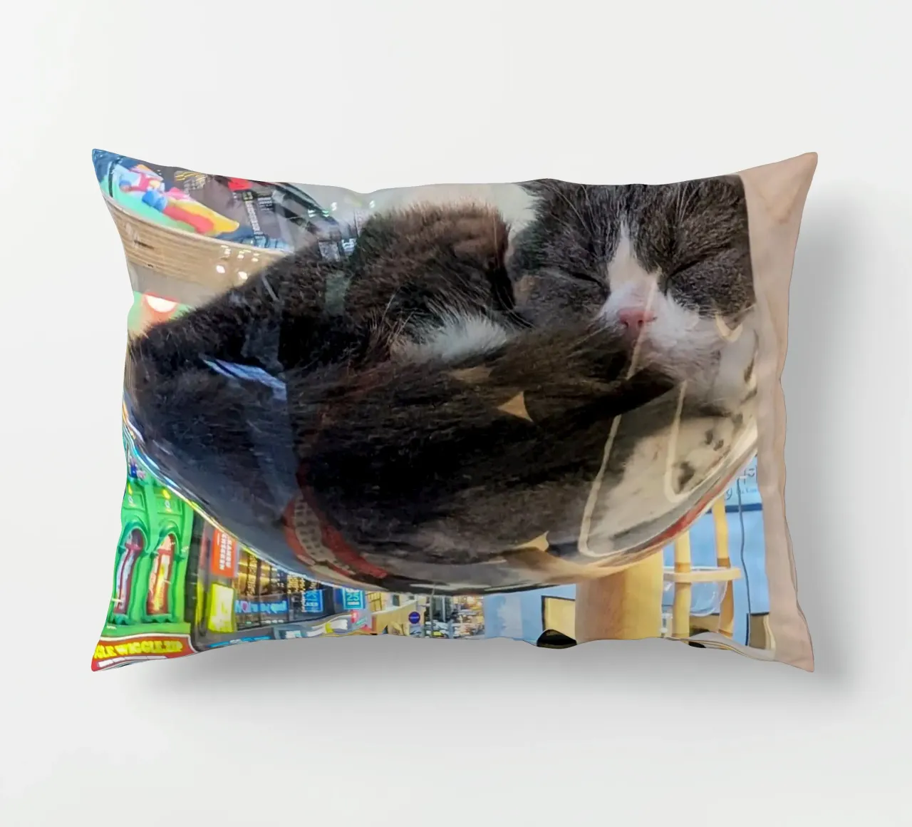 Fotografia in un Cat Café su una strada affollata di Seul, Corea del Sud cuscino da Hecate Pim Designs