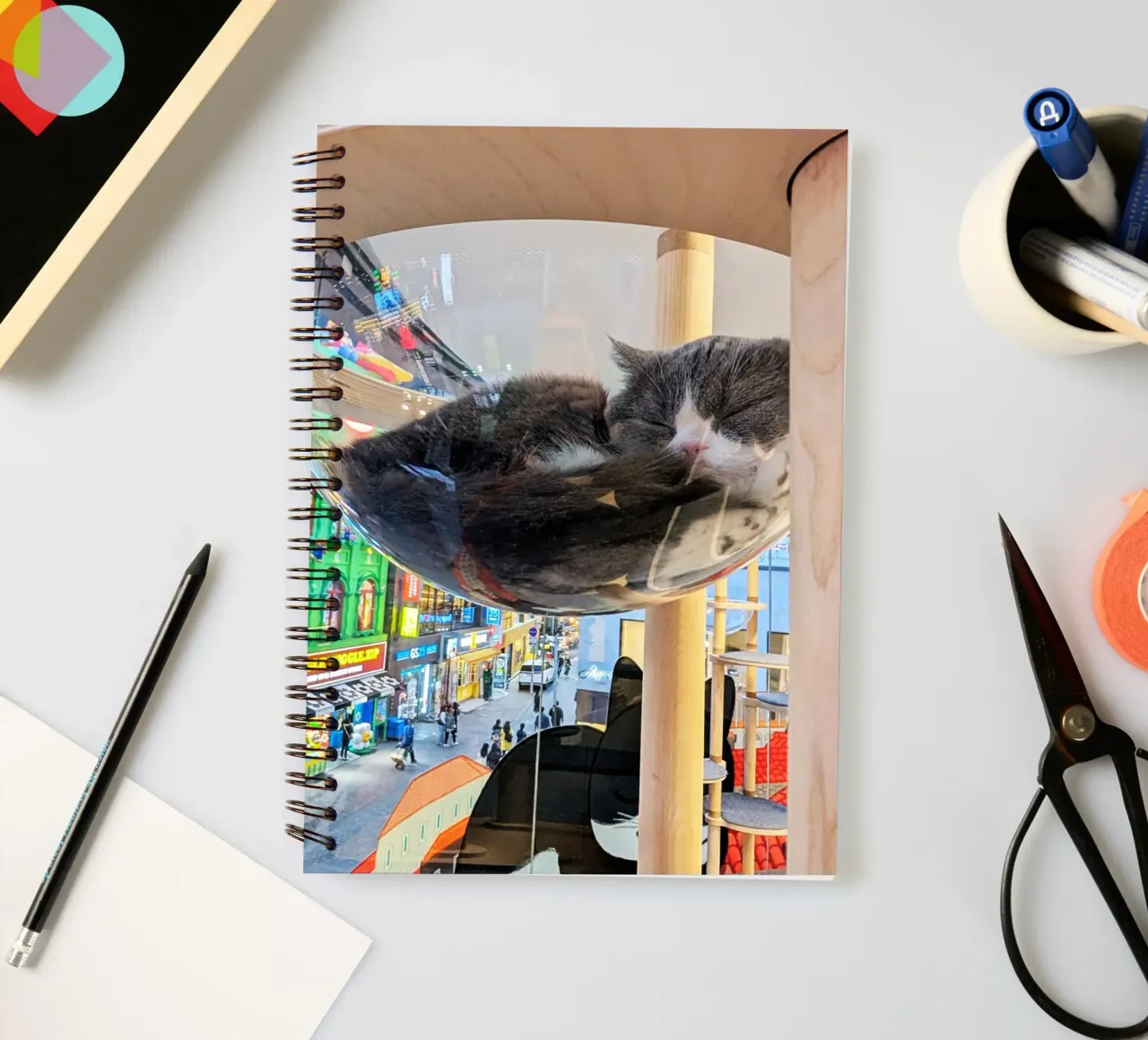 Fotografia in un Cat Café su una strada affollata di Seul, Corea del Sud diario ad anelli da Hecate Pim Designs