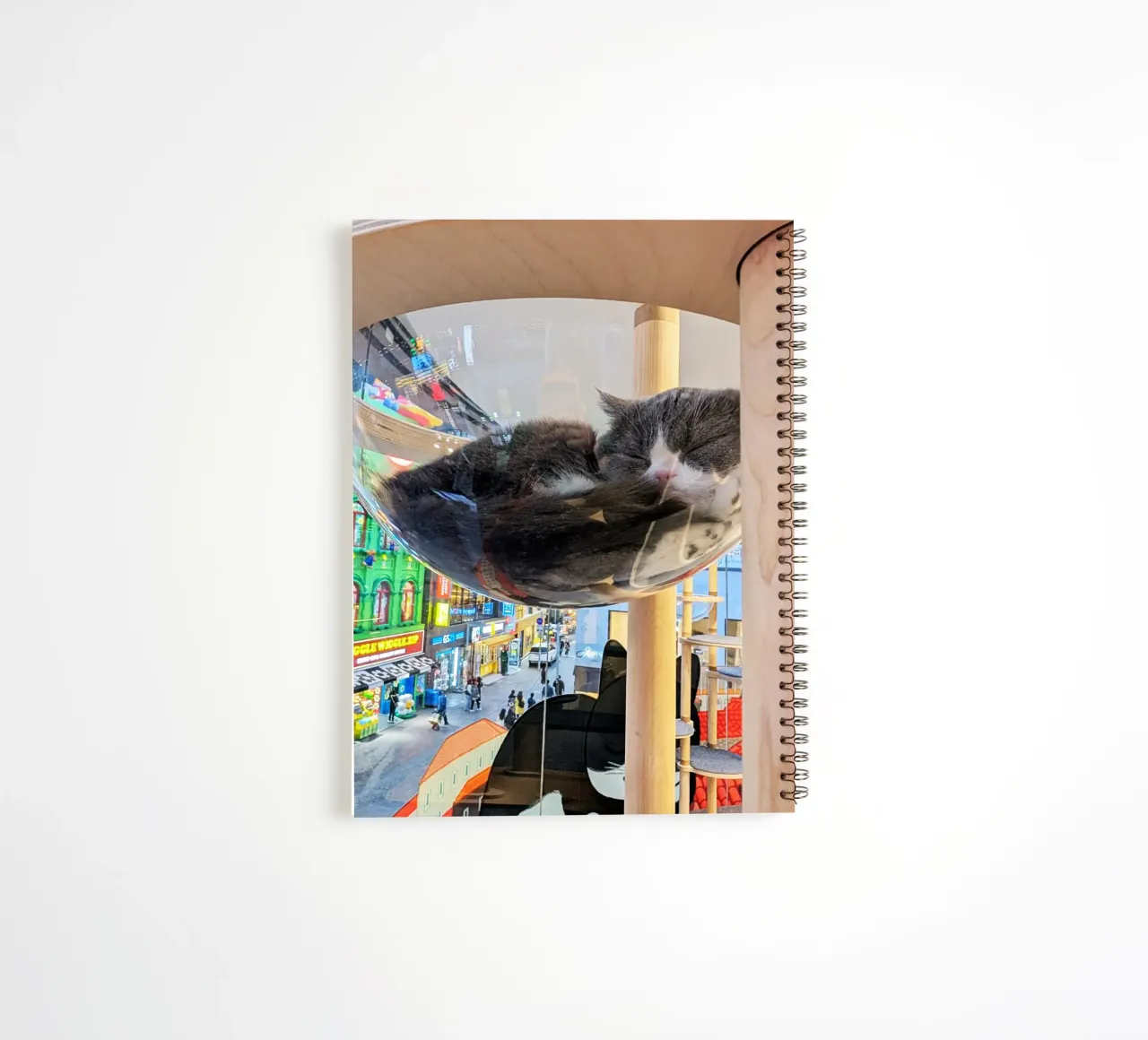 Fotografia in un Cat Café su una strada affollata di Seul, Corea del Sud diario ad anelli da Hecate Pim Designs