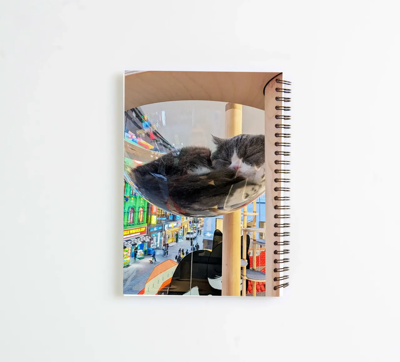 Fotografia in un Cat Café su una strada affollata di Seul, Corea del Sud diario ad anelli da Hecate Pim Designs