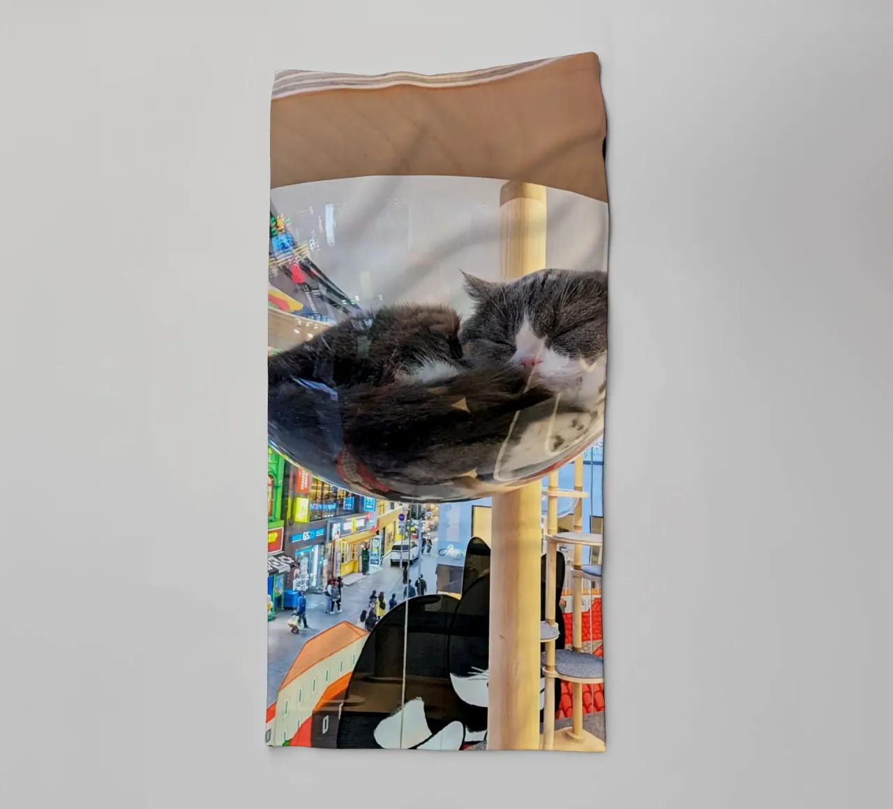 Fotografia in un Cat Café su una strada affollata di Seul, Corea del Sud asciugamano da bagno da Hecate Pim Designs