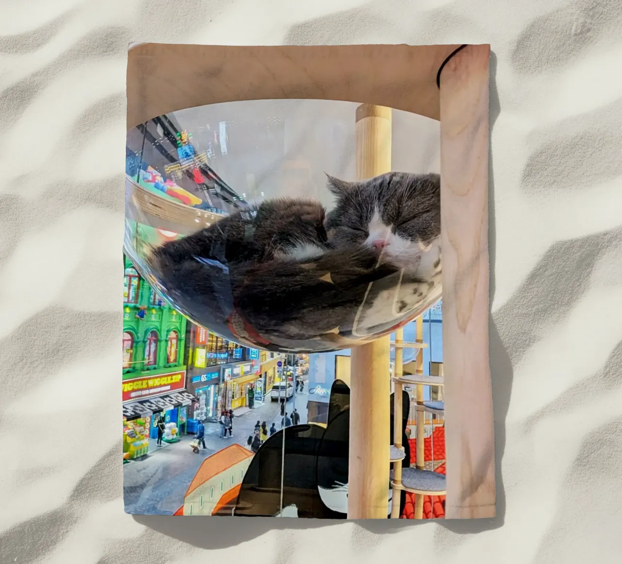 Fotografia in un Cat Café su una strada affollata di Seul, Corea del Sud telo mare da Hecate Pim Designs