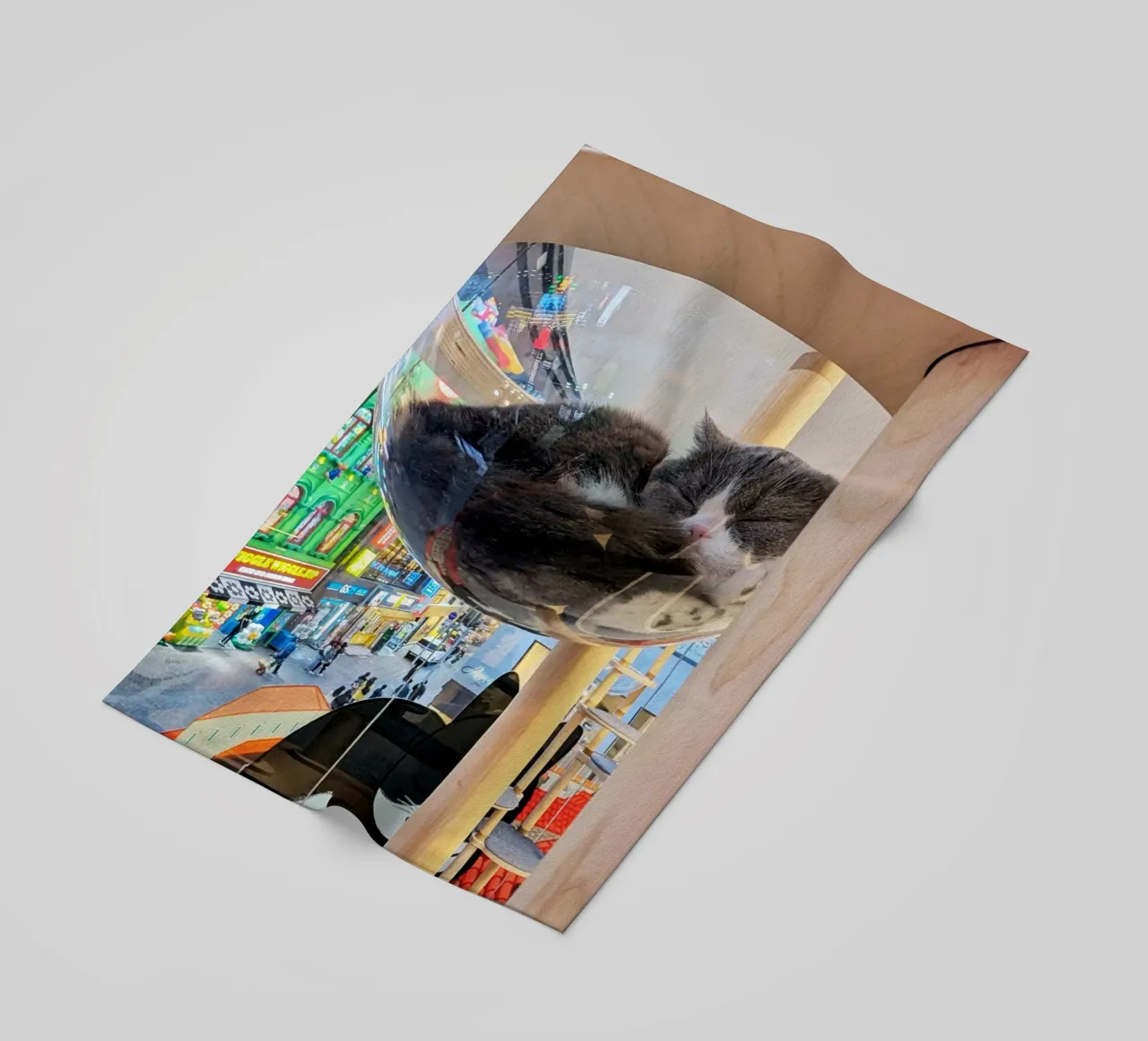 Fotografia in un Cat Café su una strada affollata di Seul, Corea del Sud telo mare da Hecate Pim Designs