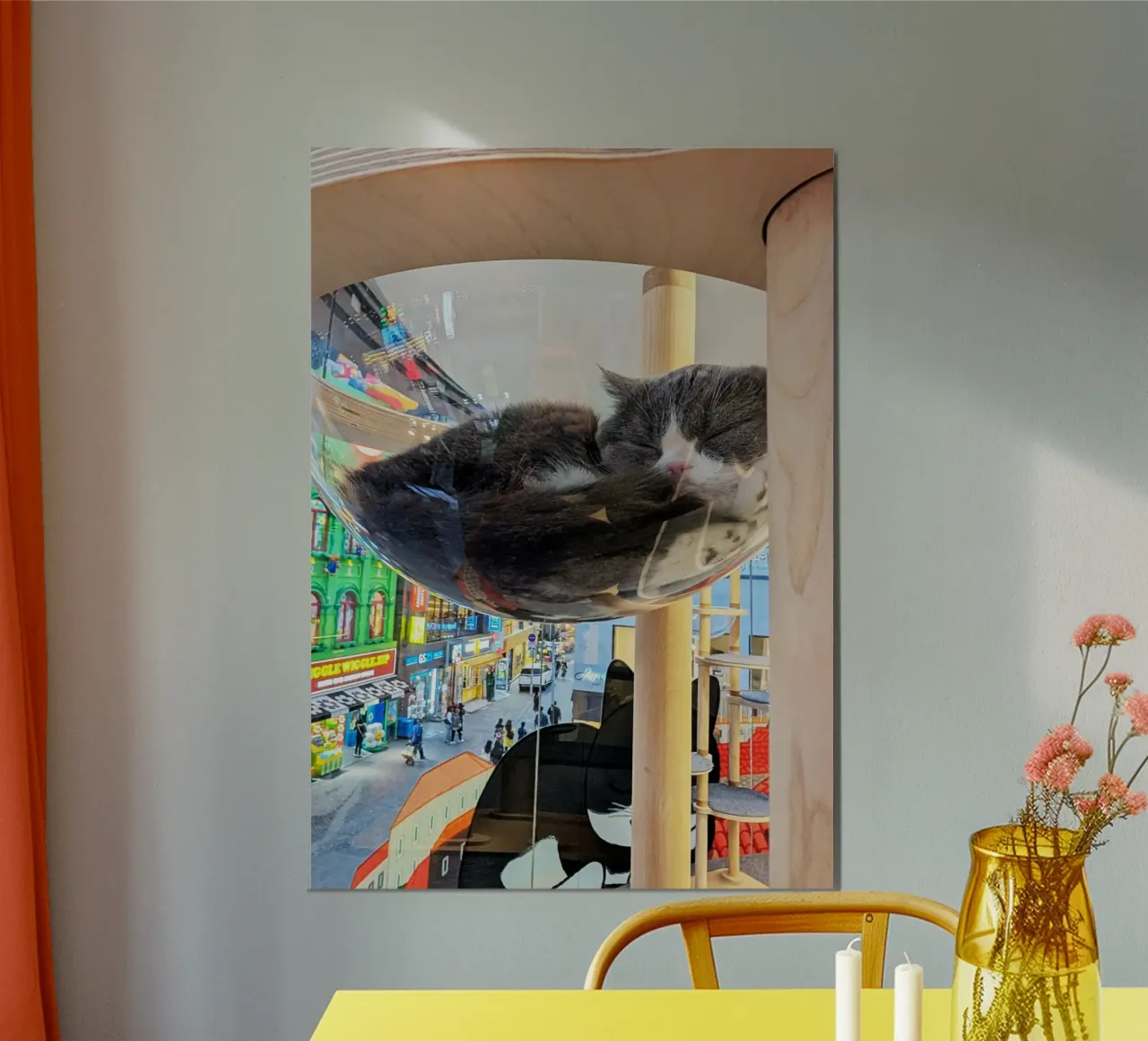 Fotografia in un Cat Café su una strada affollata di Seul, Corea del Sud alluminio dibond da Hecate Pim Designs