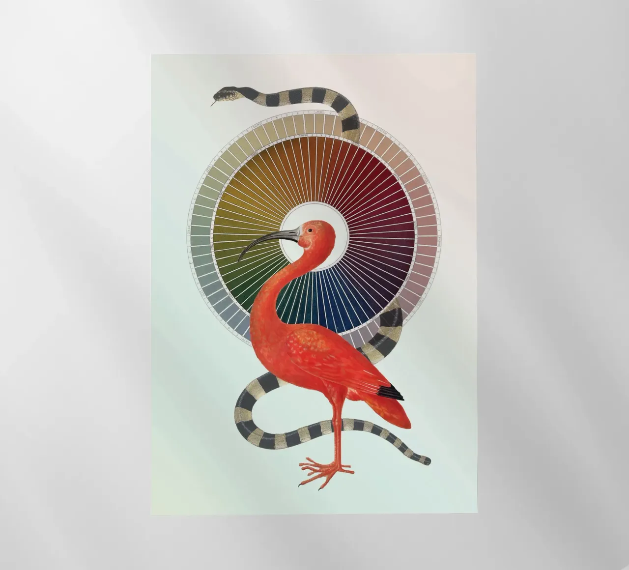 Color Wheel Coven | Press Play Art Print Collage pellicola backlit da Press Play Art Prints
