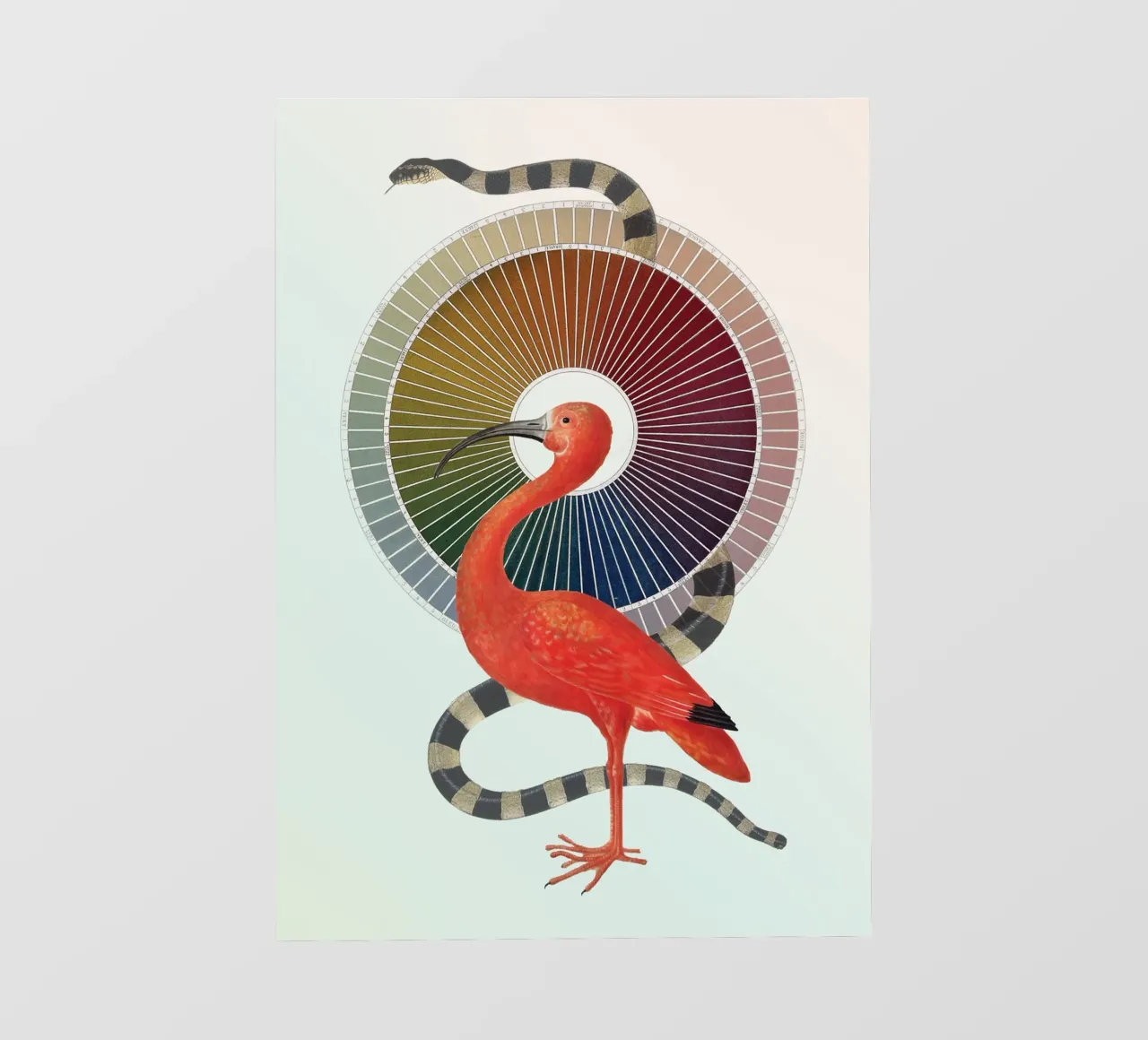 Color Wheel Coven | Press Play Art Print Collage pellicola backlit da Press Play Art Prints