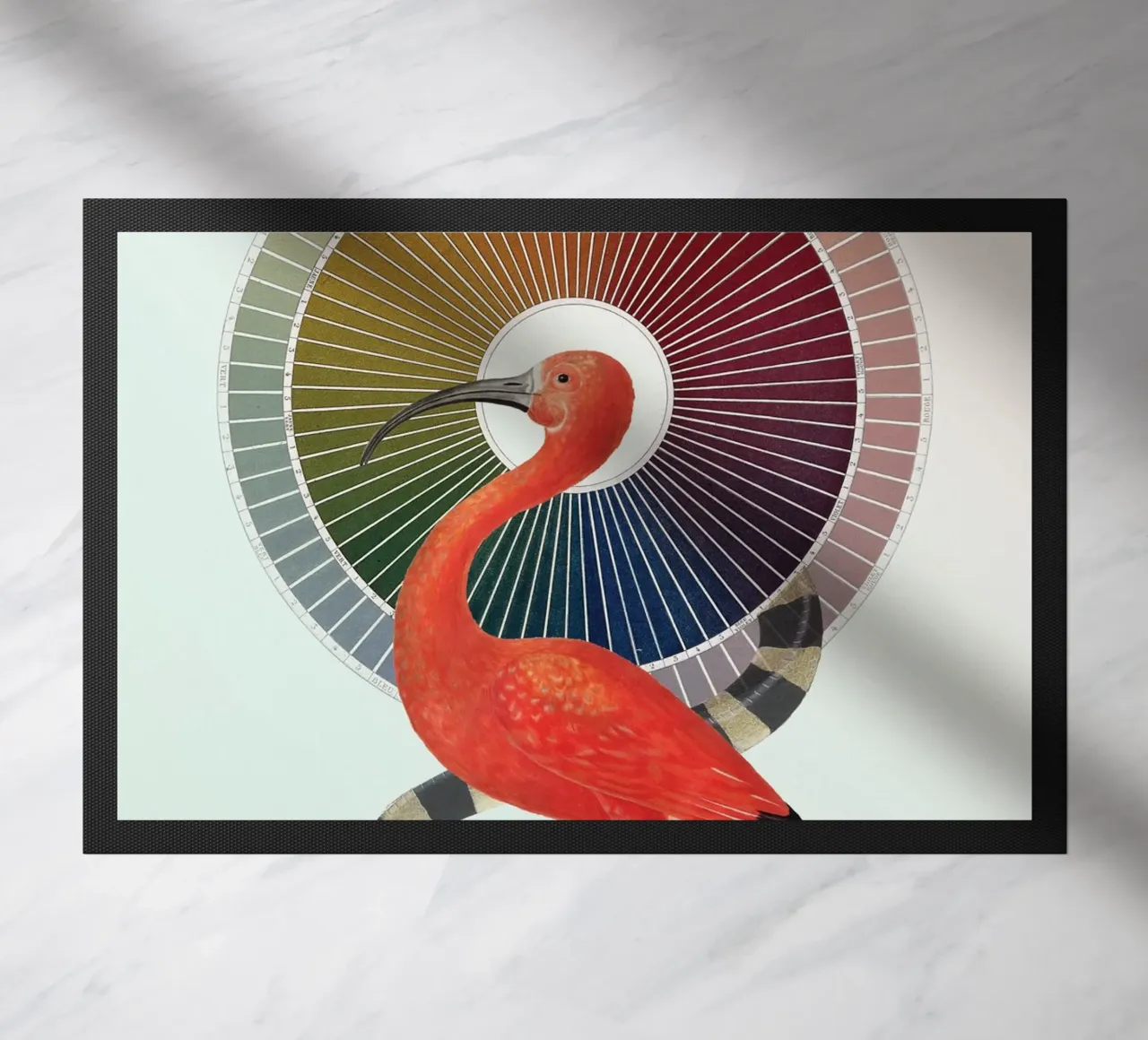 Color Wheel Coven | Press Play Art Print Collage zerbino da Press Play Art Prints