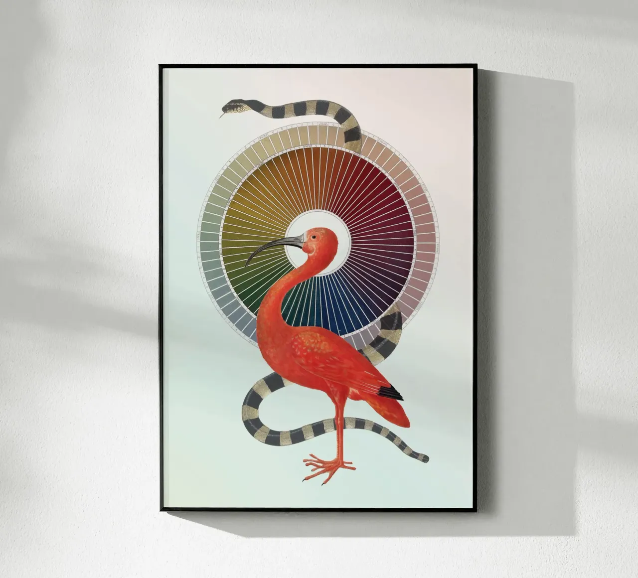 Color Wheel Coven | Press Play Art Print Collage plexiglass da Press Play Art Prints