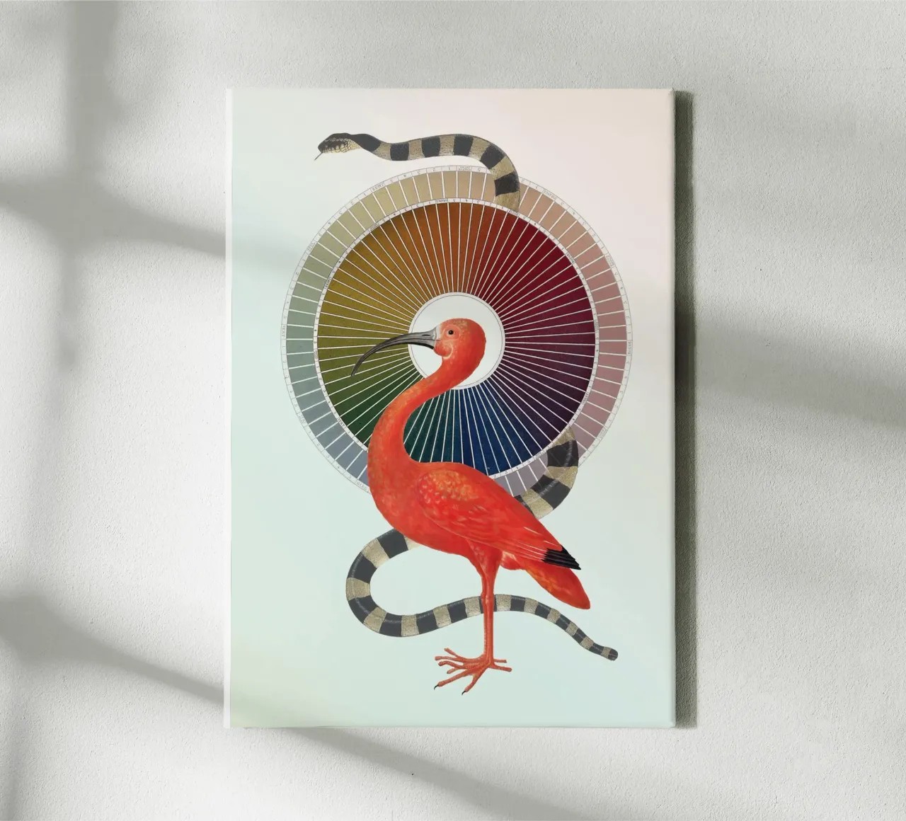 Kleurenwiel Coven | Press Play Kunstdruk Collage canvas met Baklijst van Press Play Art Prints