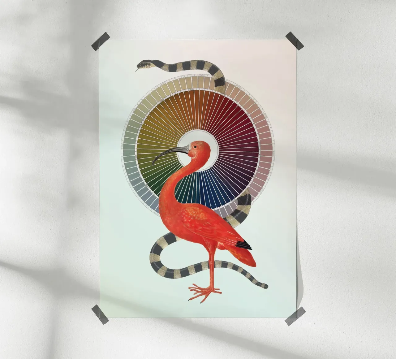 Color Wheel Coven | Press Play Art Print Collage poster con telaio in alluminio da Press Play Art Prints