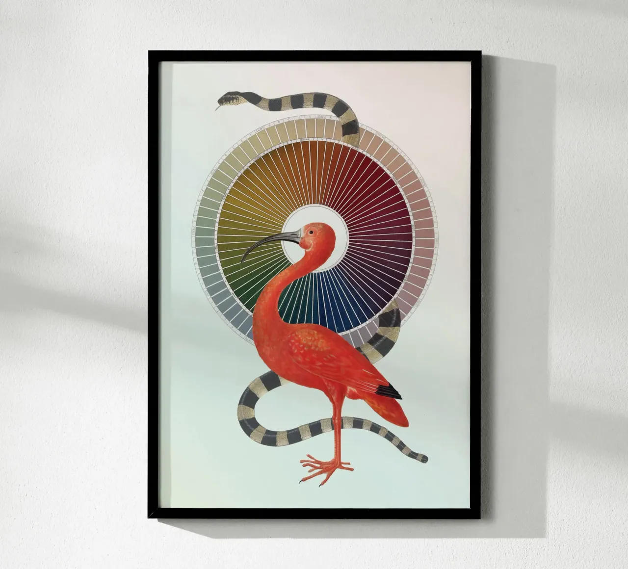 Color Wheel Coven | Press Play Art Print Collage poster con telaio in alluminio da Press Play Art Prints