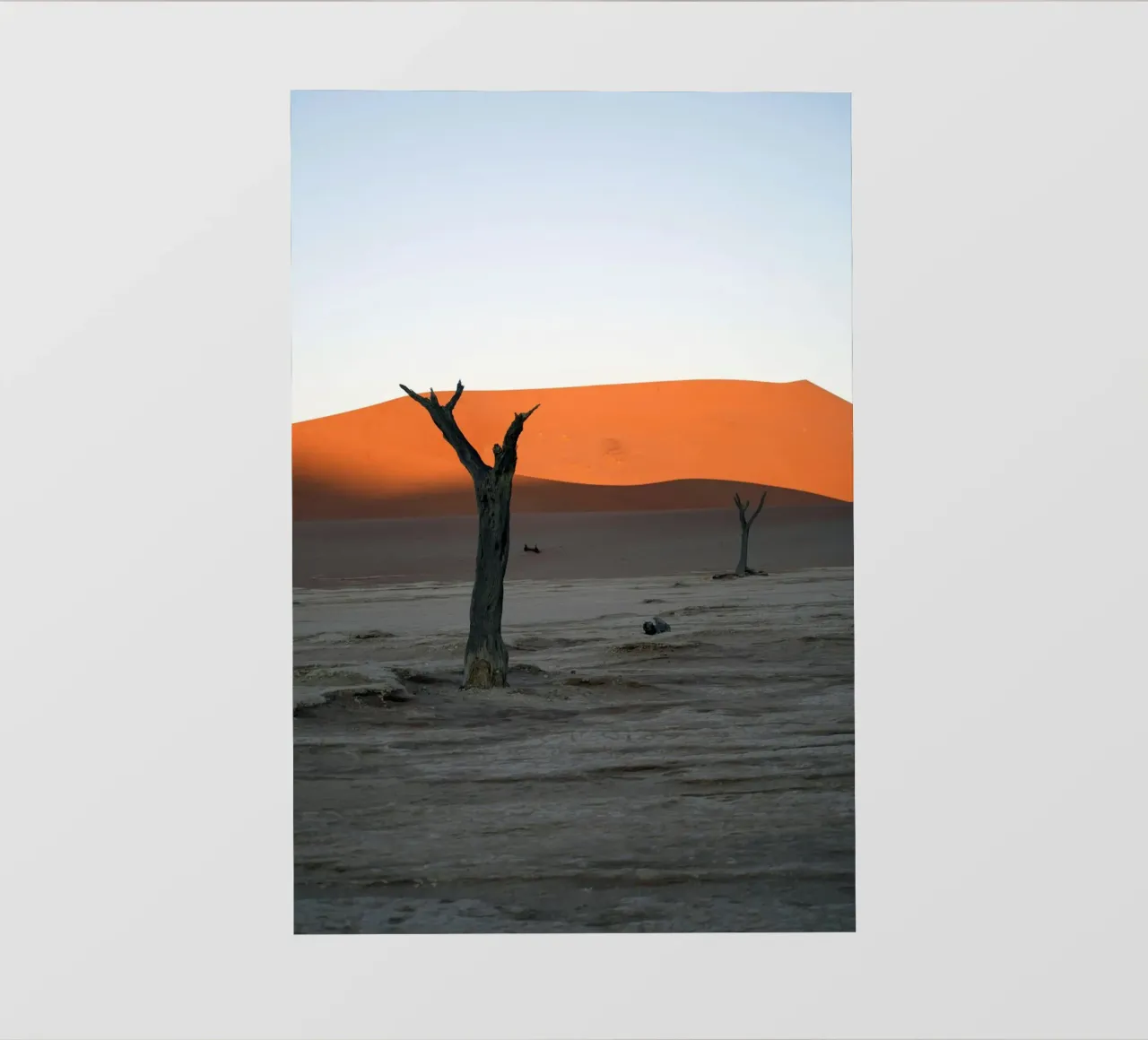 woestijnduin fotobehang van Earthly Visions