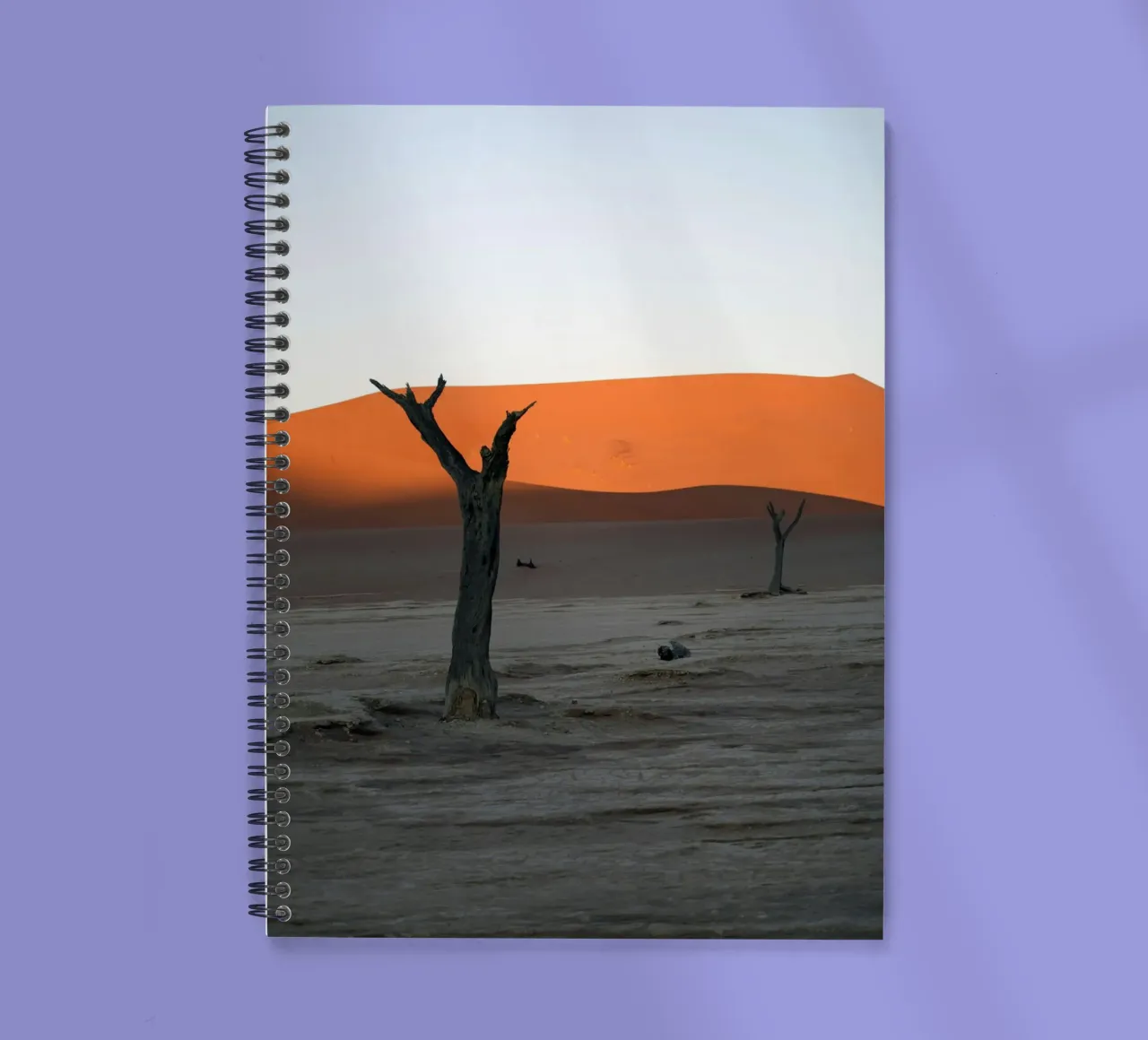 desert dune spiral notebook by Earthly Visions