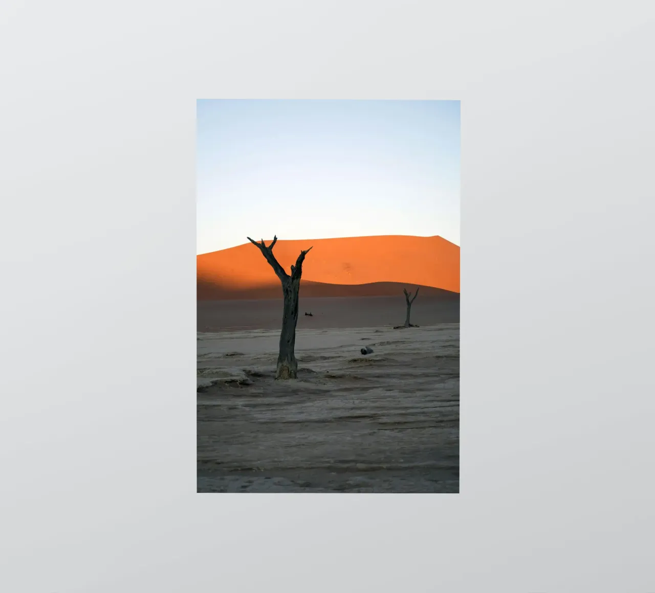 woestijnduin sticker van Earthly Visions