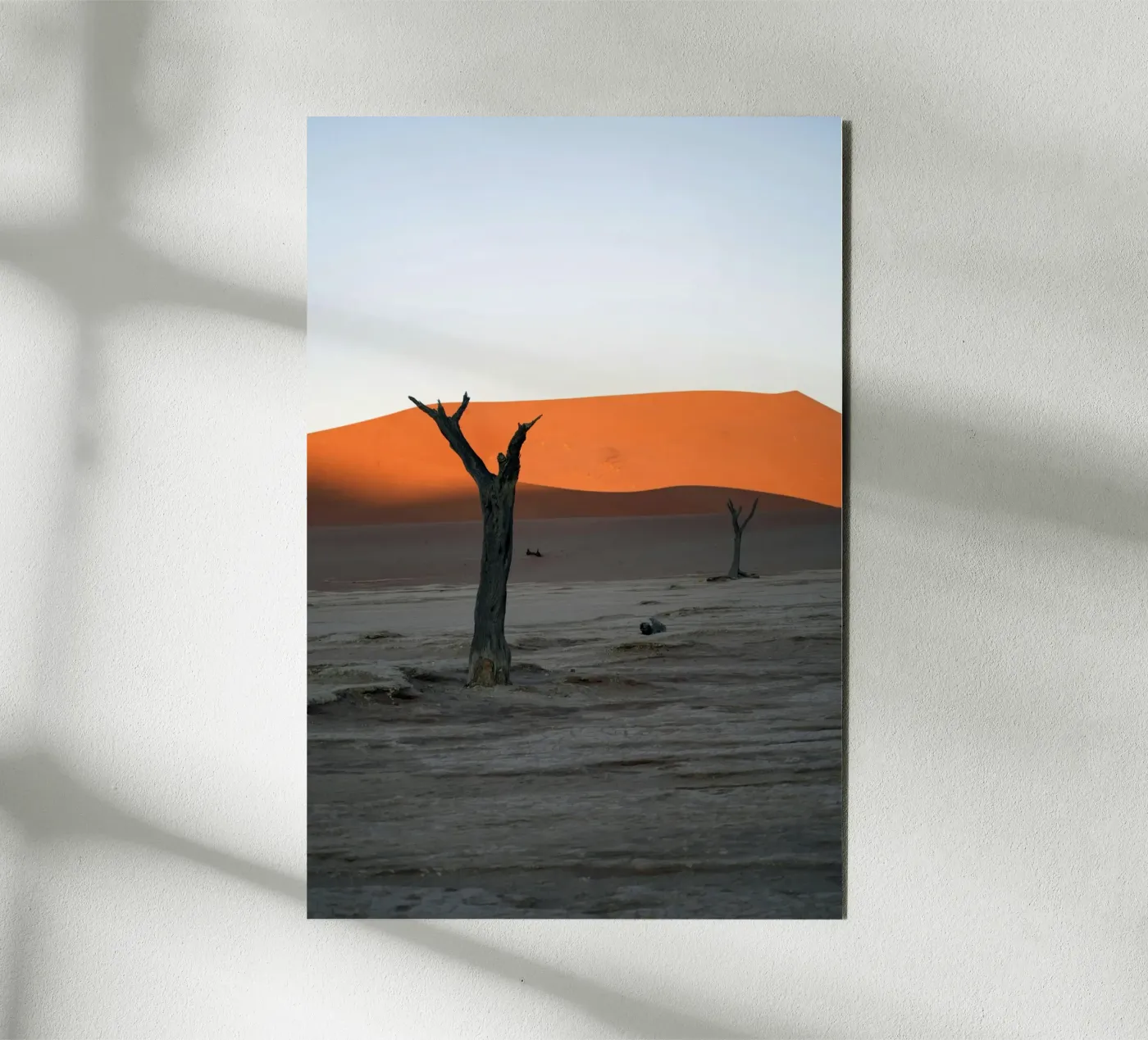 duna del deserto alluminio dibond da Earthly Visions