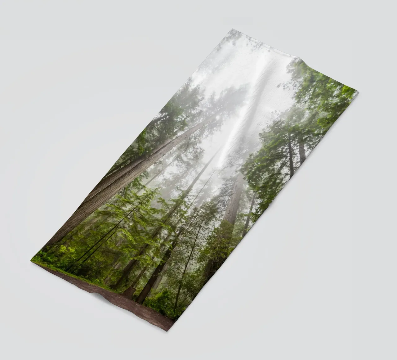 foresta di alberi ad alto fusto telo mare da Earthly Visions