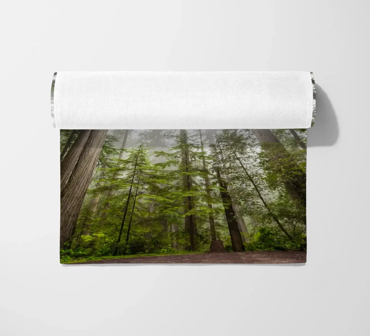 foresta di alberi ad alto fusto telo mare da Earthly Visions
