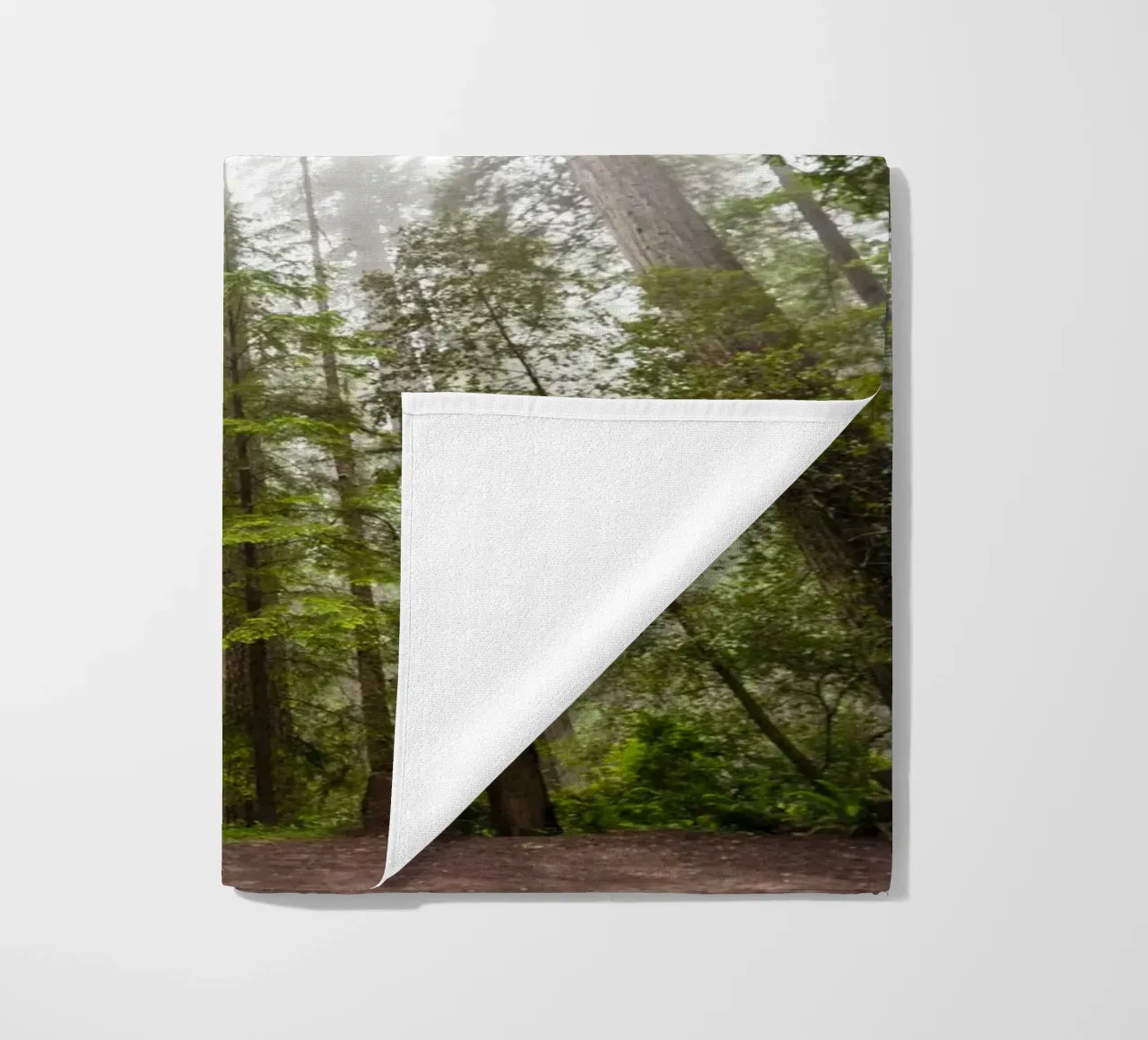 foresta di alberi ad alto fusto telo mare da Earthly Visions