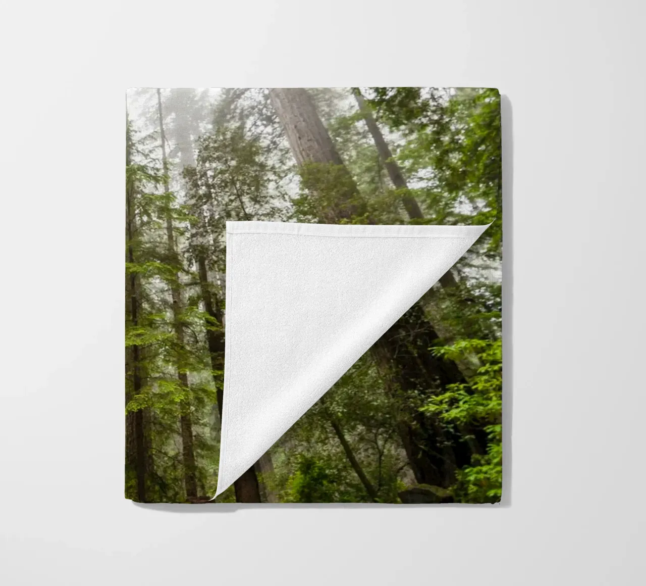 foresta di alberi ad alto fusto telo mare da Earthly Visions