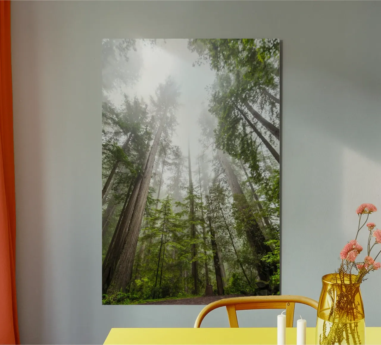 foresta di alberi ad alto fusto alluminio dibond da Earthly Visions
