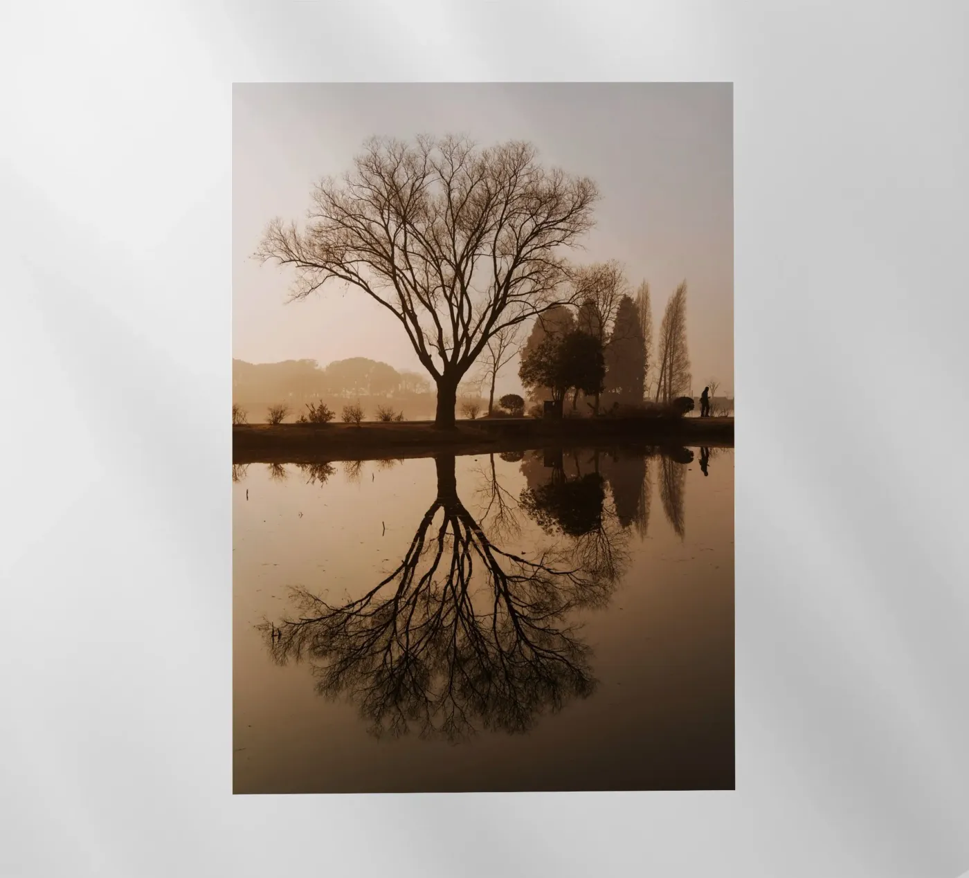 tree reflection pellicola backlit da Earthly Visions