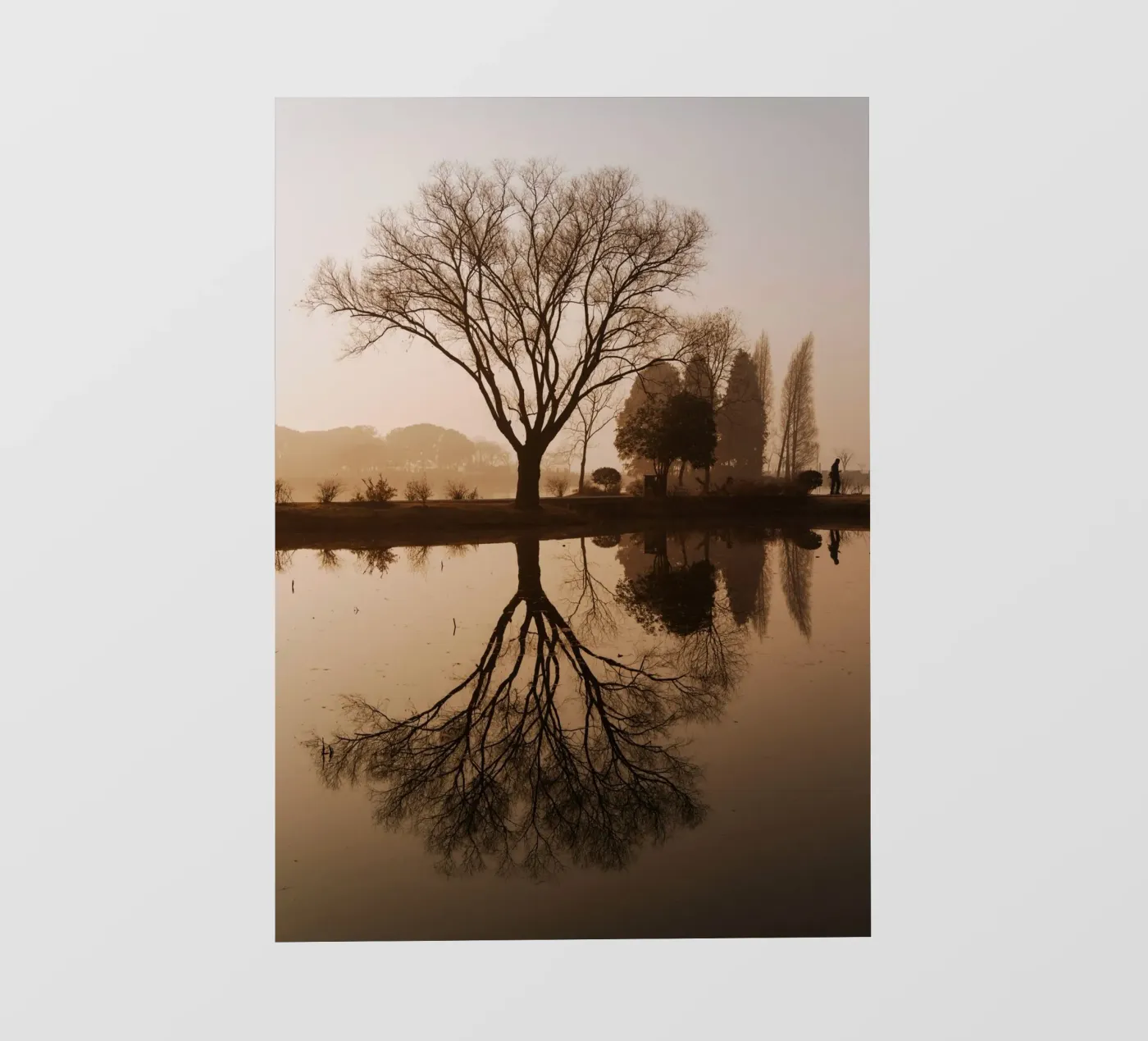 boomreflectie fotobehang van Earthly Visions