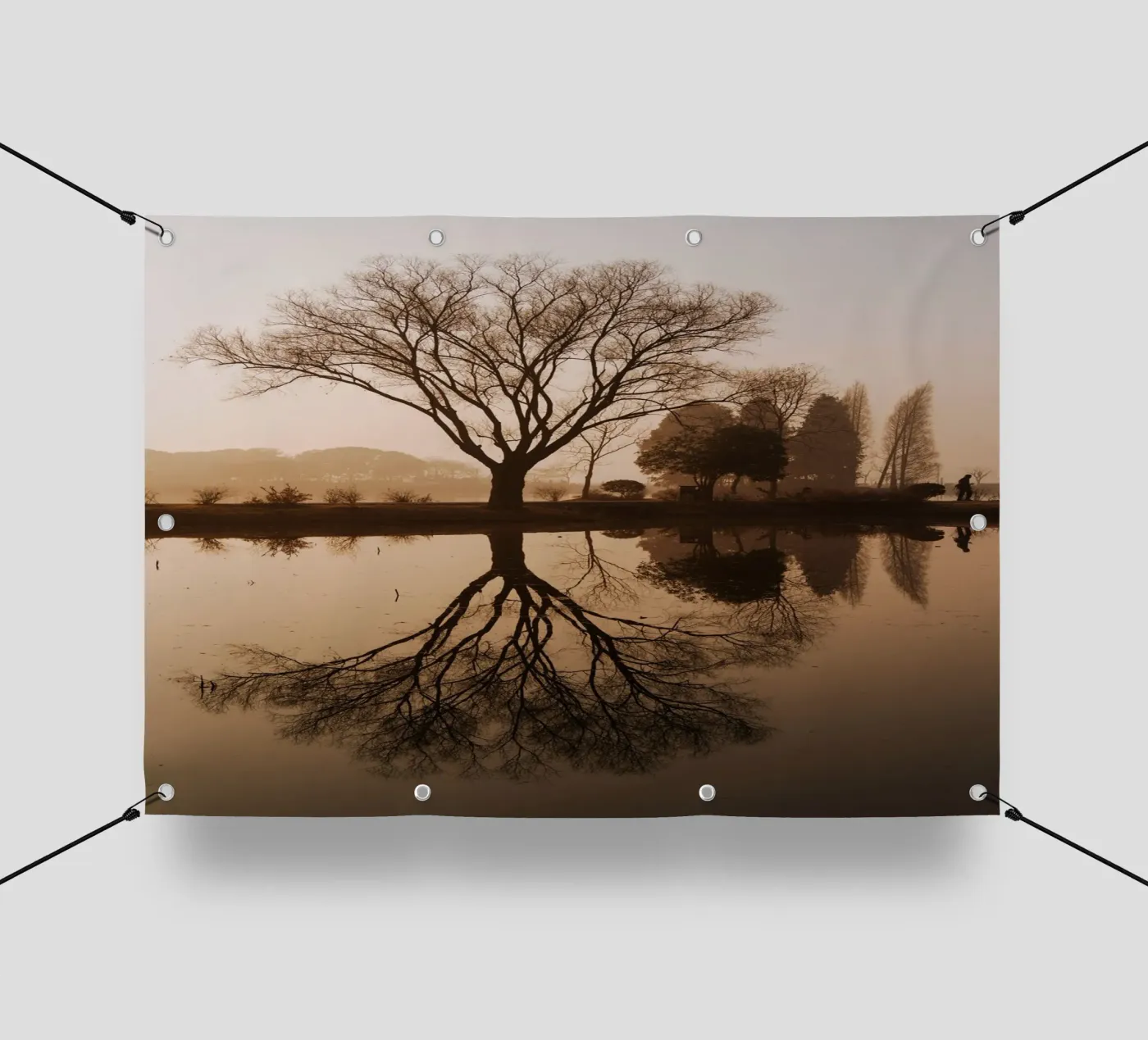 tree reflection pvc cover by Earthly Visions