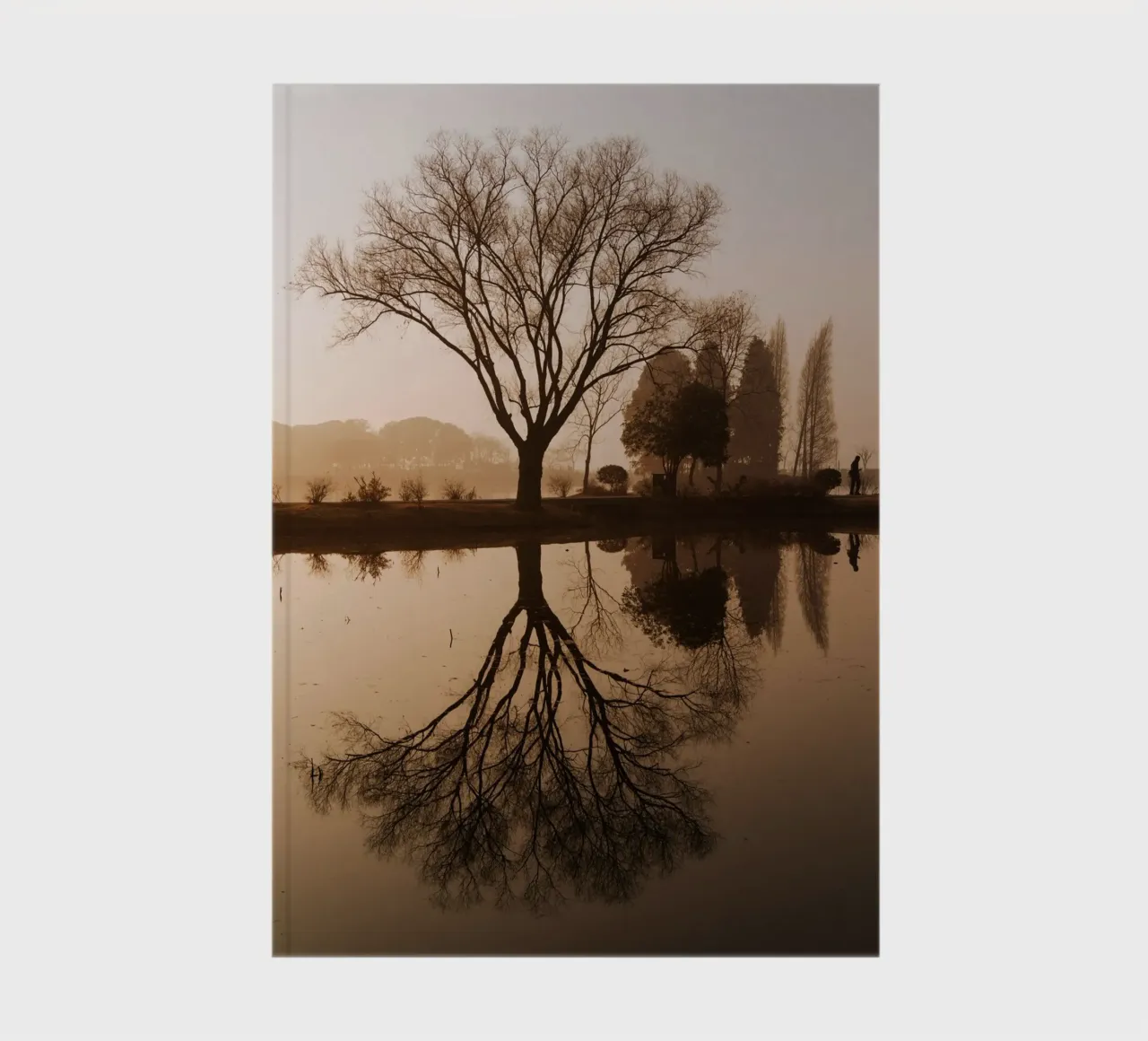 tree reflection notebook by Earthly Visions