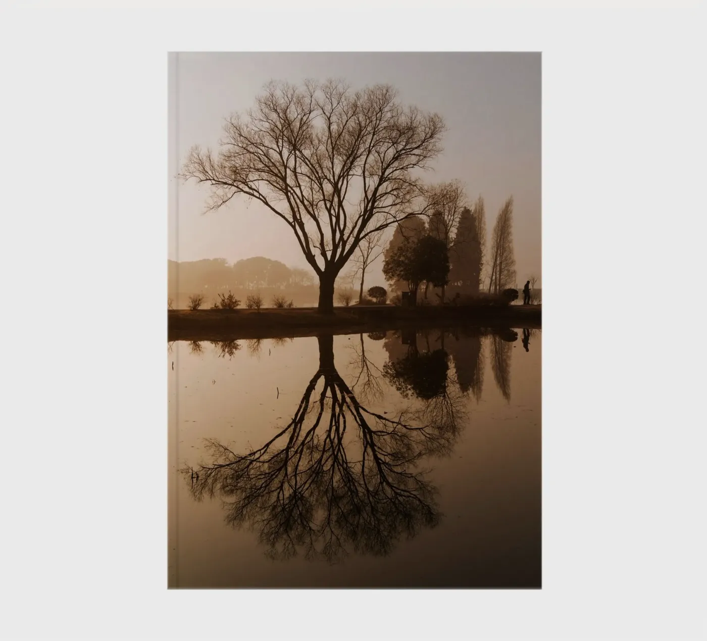 tree reflection notebook by Earthly Visions