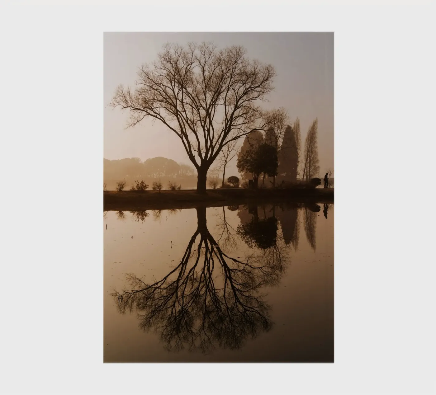 tree reflection notebook by Earthly Visions