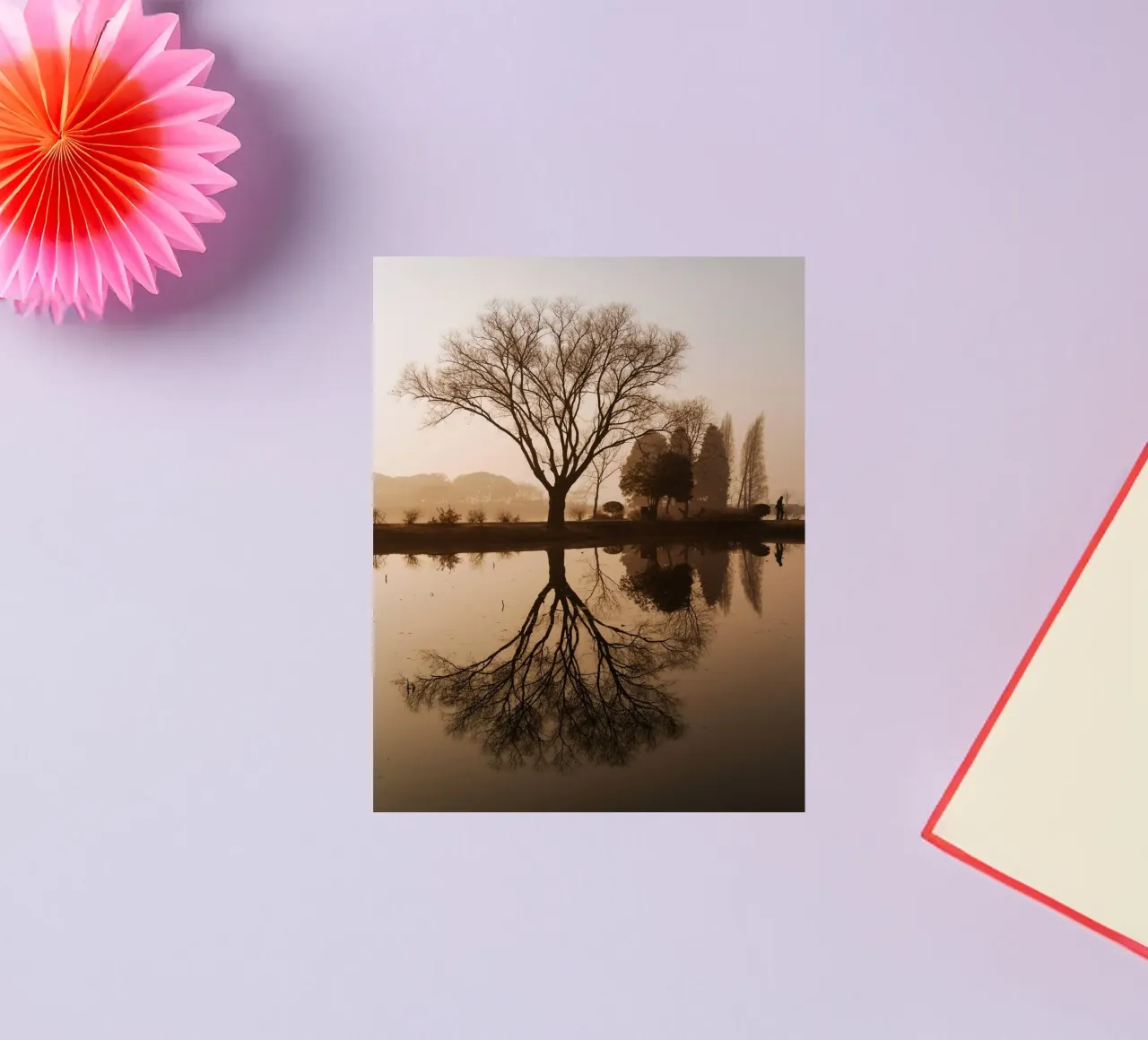 tree reflection sticker by Earthly Visions