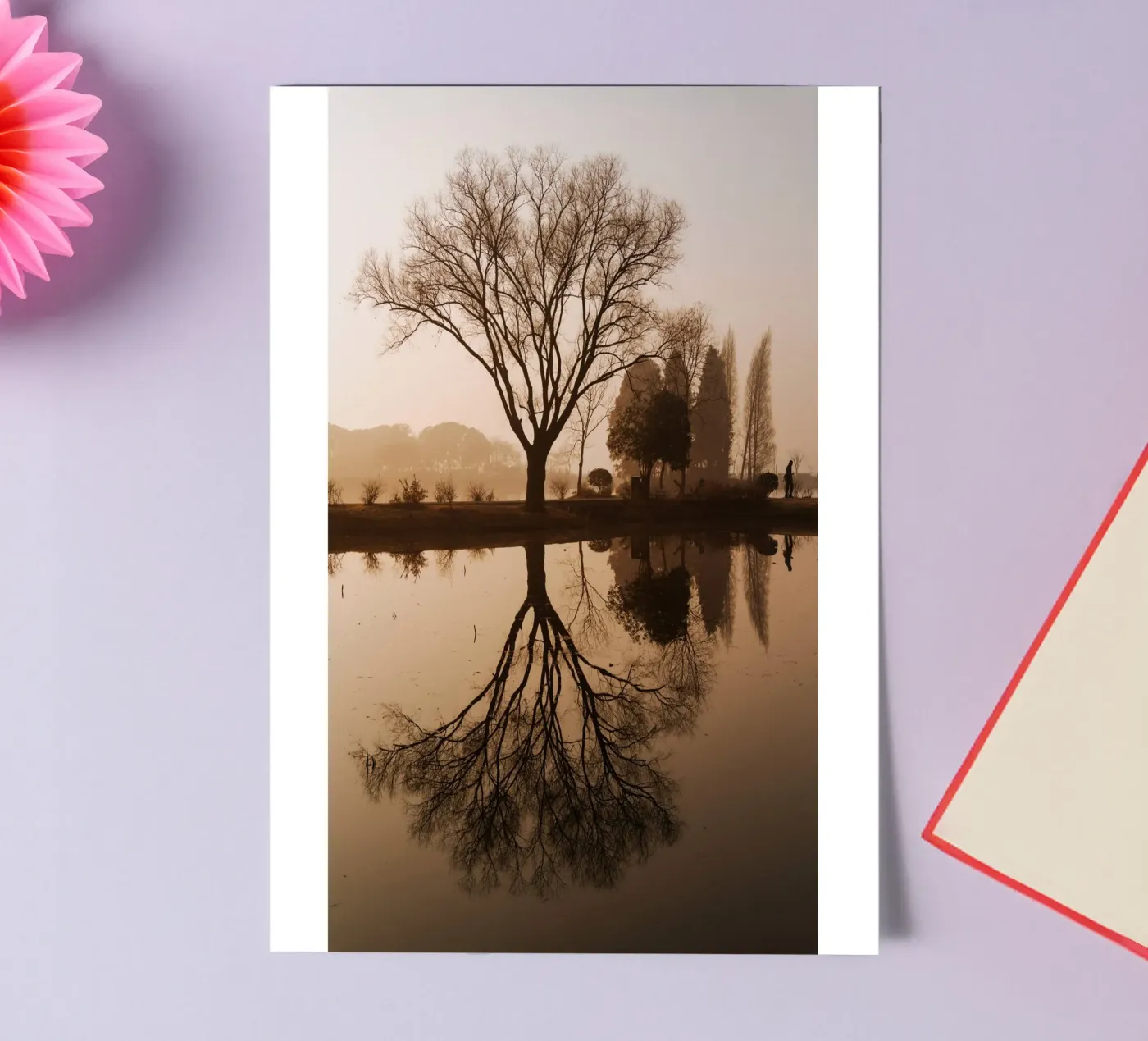 tree reflection sticker sheet by Earthly Visions