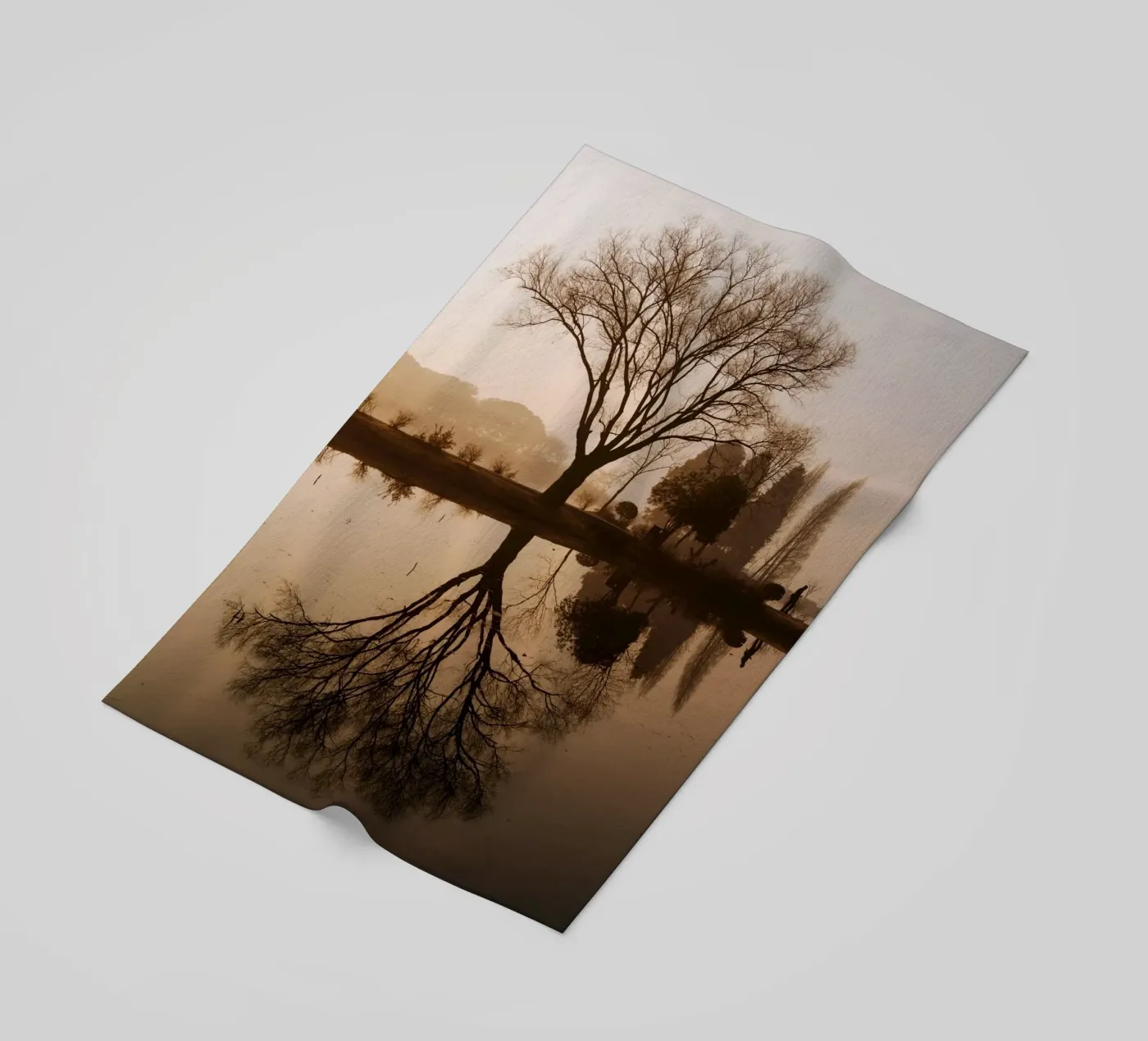 riflessione sull'albero telo mare da Earthly Visions