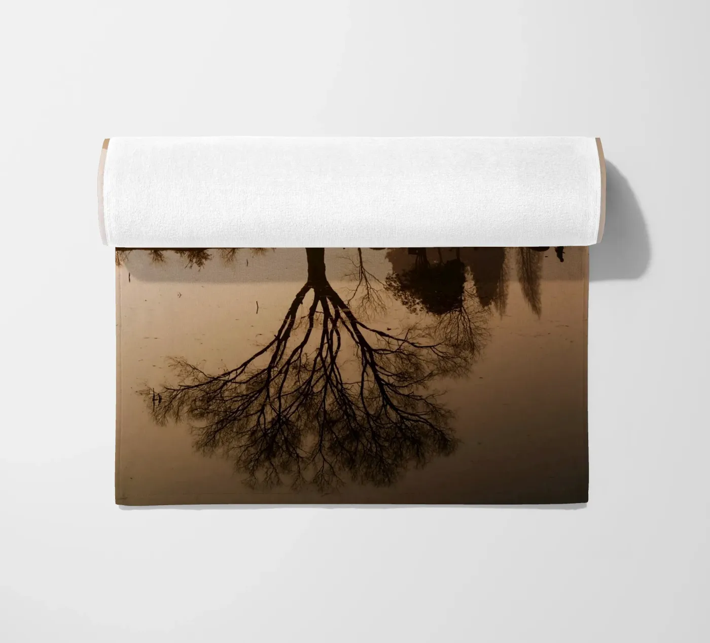 riflessione sull'albero telo mare da Earthly Visions