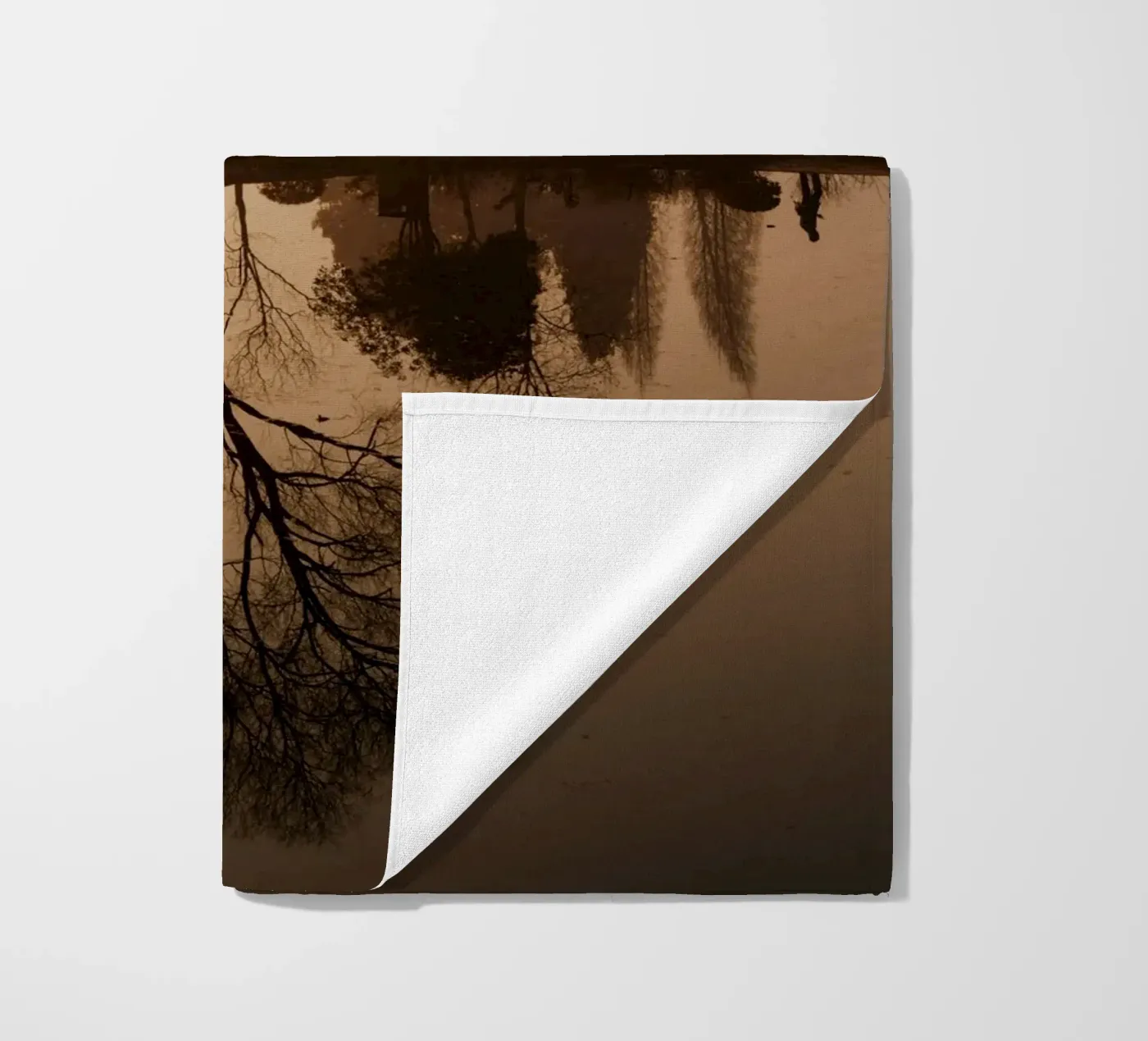 riflessione sull'albero telo mare da Earthly Visions