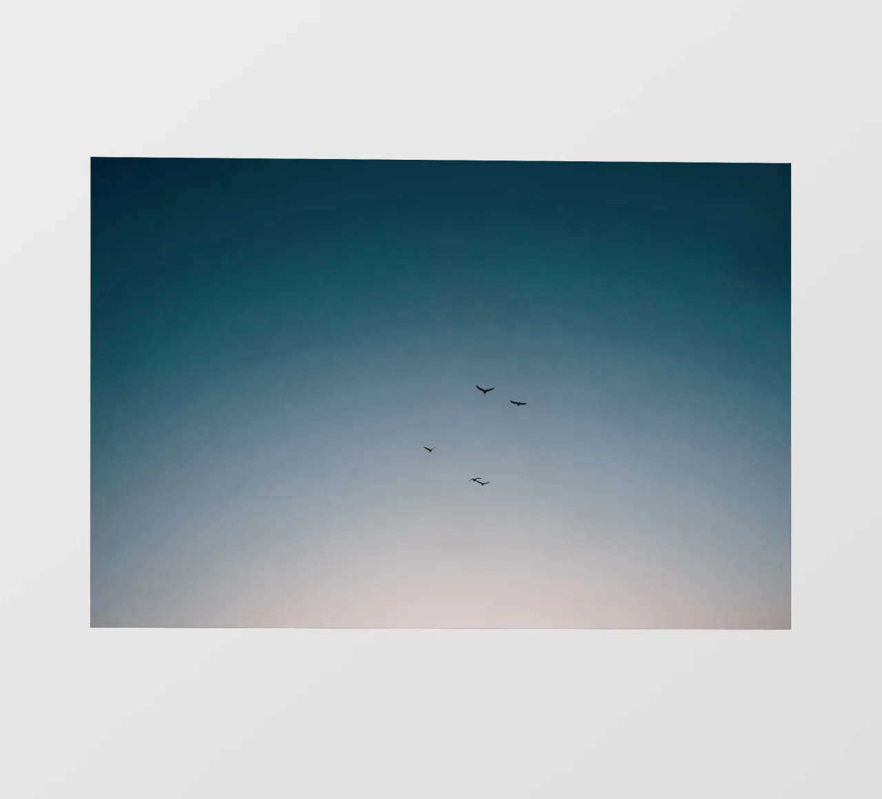 Flying Birds to the Sunset Sky photo wallpaper by KISSA STUDIO
