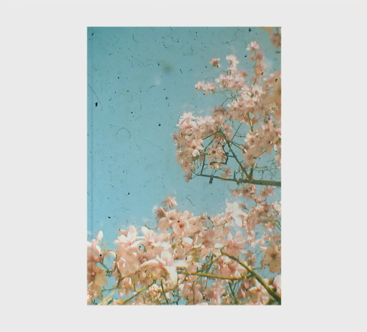 Magnolia Tree notebook by Cassia Beck Photography