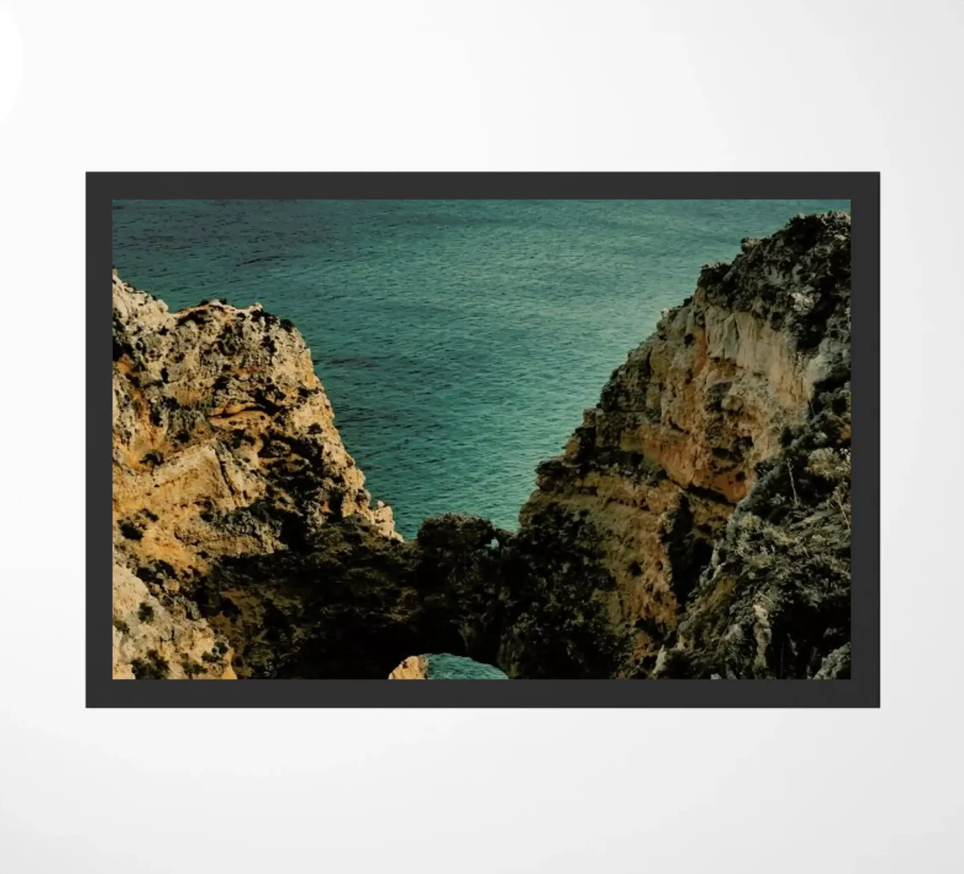 Explorers zerbino da Sebastian Hilgetag