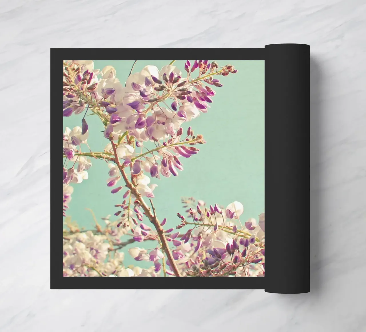 Glicine zerbino da Cassia Beck Photography