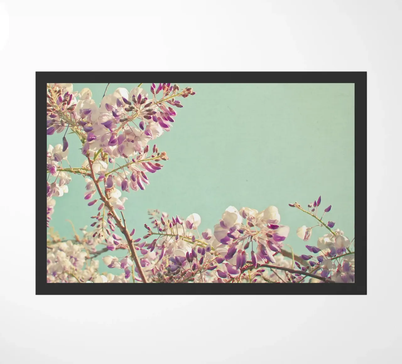 Glicine zerbino da Cassia Beck Photography