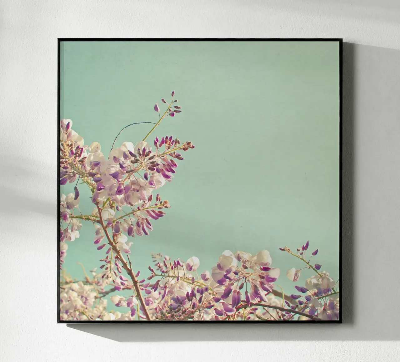 Glicine plexiglass da Cassia Beck Photography