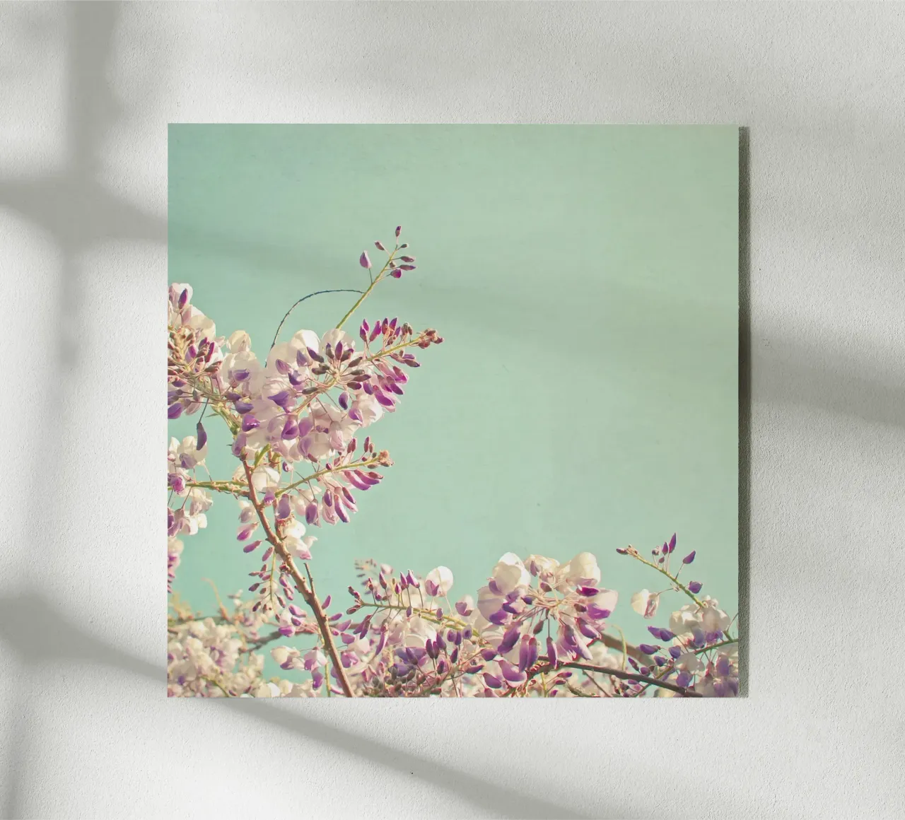 Glicine plexiglass da Cassia Beck Photography