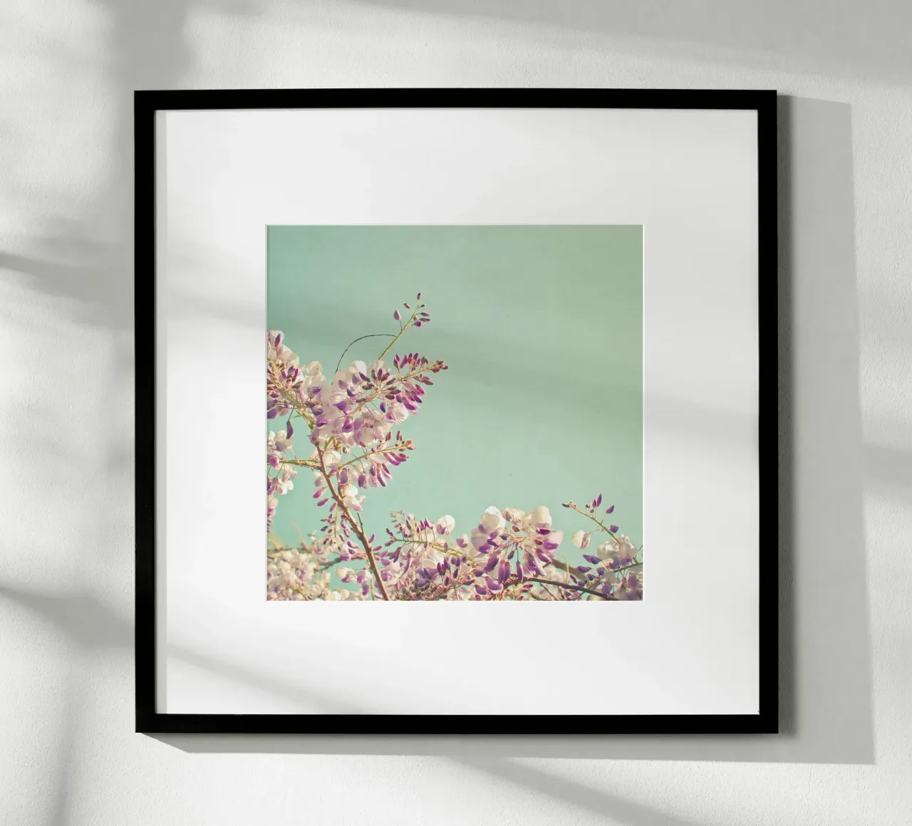 Glicine poster da Cassia Beck Photography