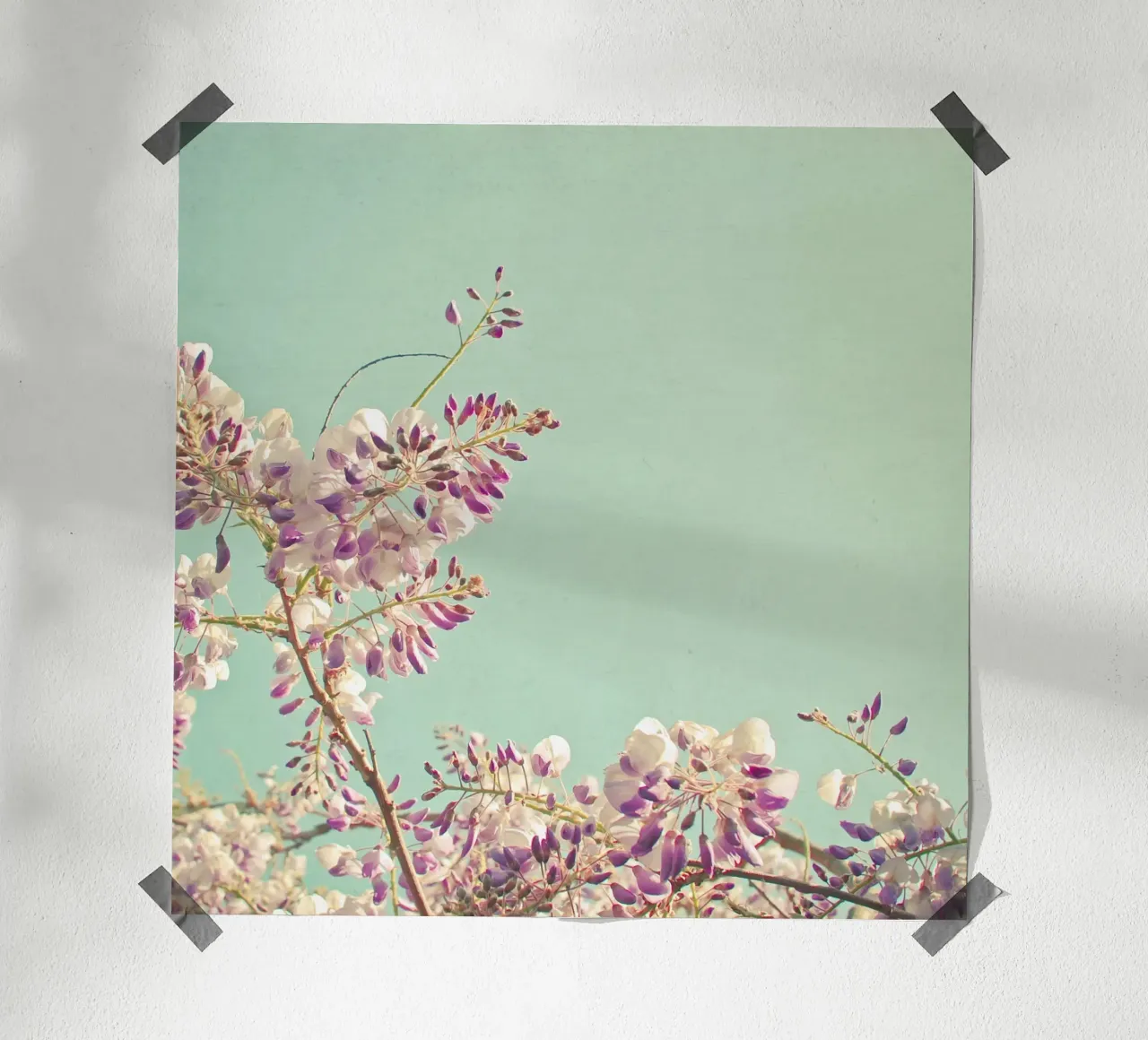 Glicine poster da Cassia Beck Photography