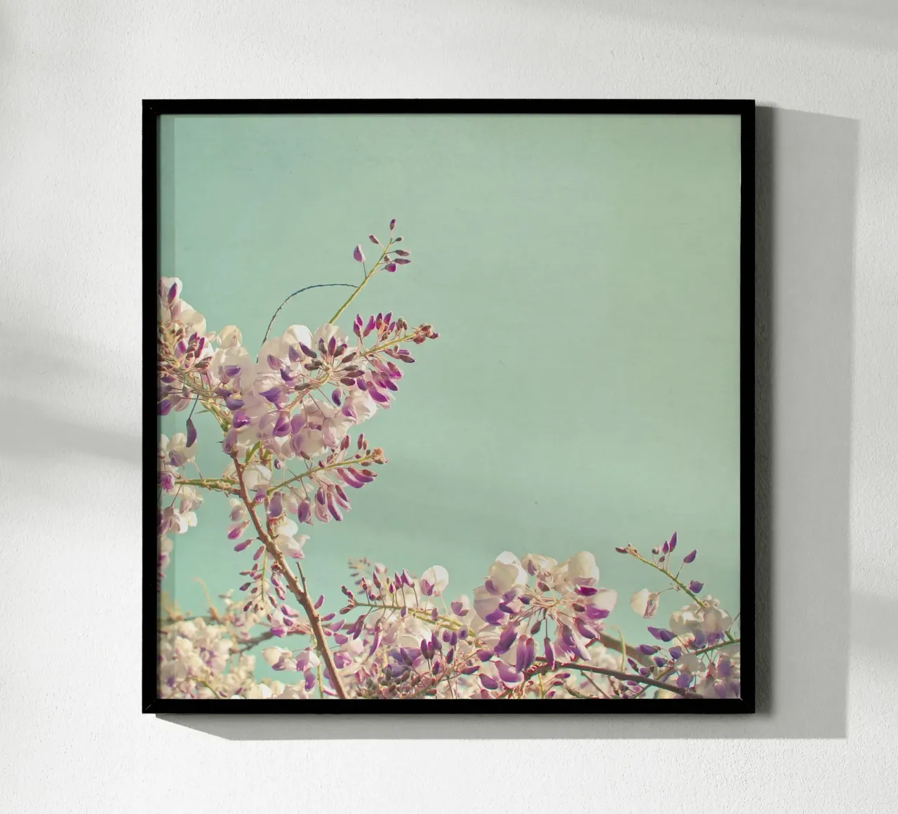 Glicine poster da Cassia Beck Photography