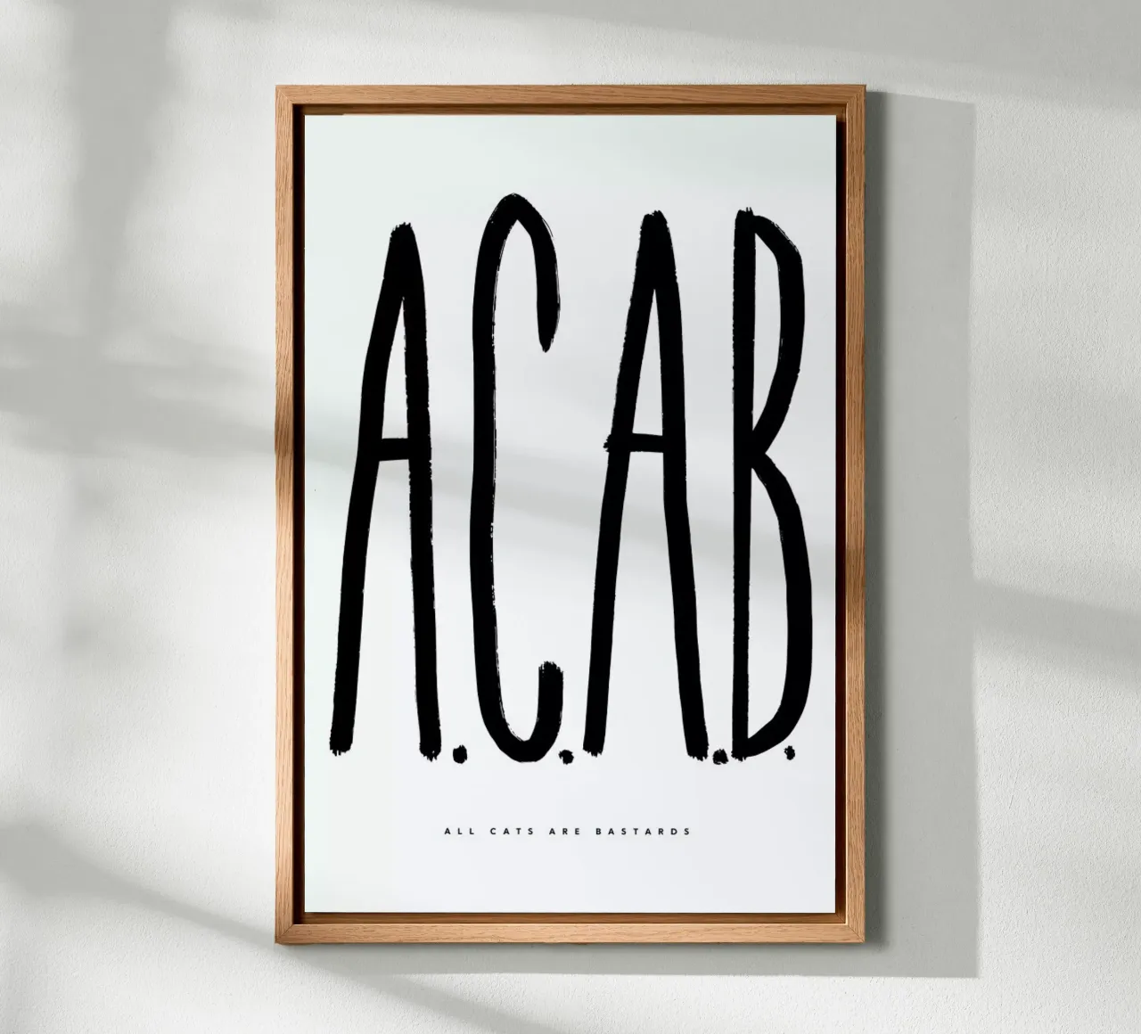 ACAB tela con Cornice a cassetta da Studio One