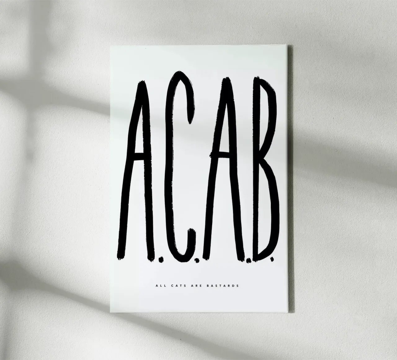 ACAB tela con Cornice a cassetta da Studio One