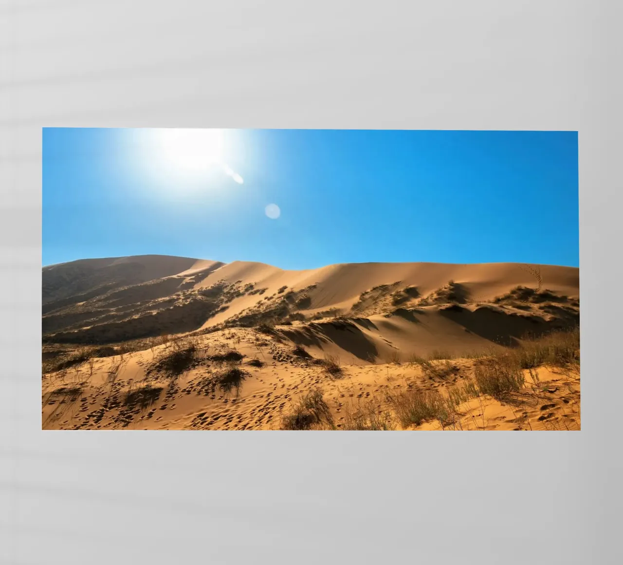 dune luminose pellicola backlit da life of sands
