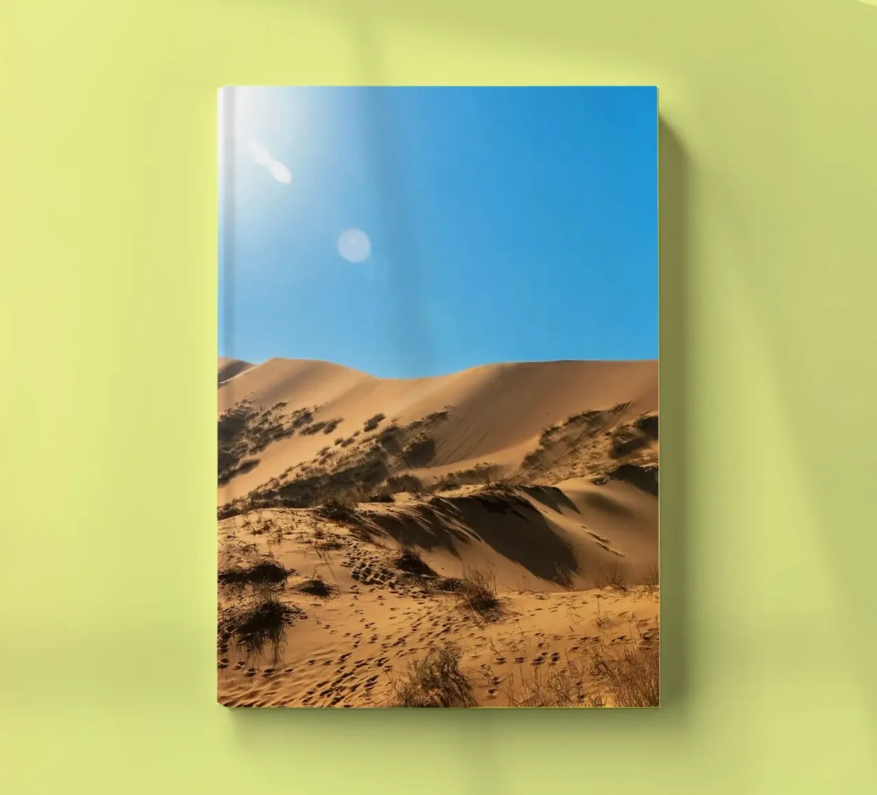 dune luminose diario da life of sands
